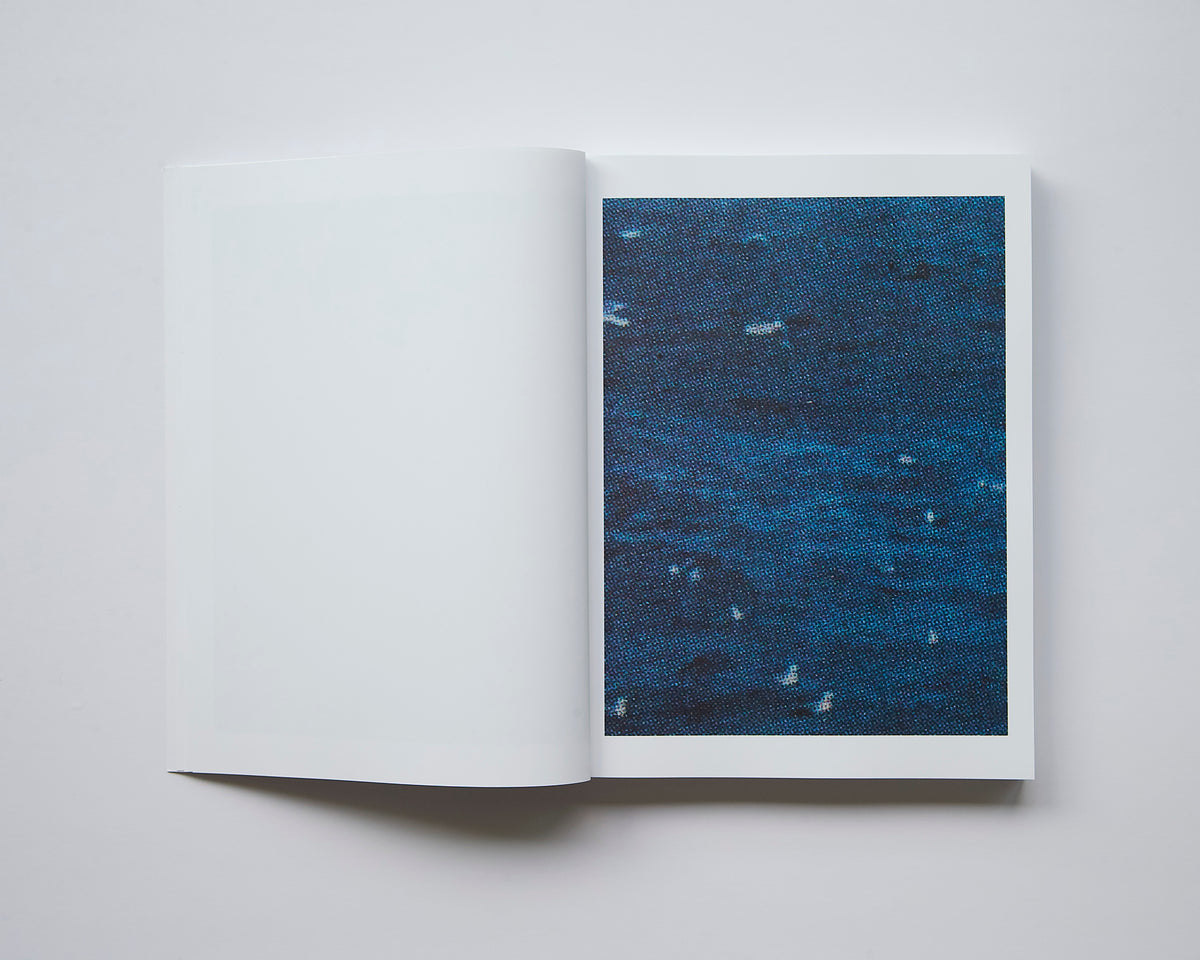 Alessio Bolzoni - Bloom or Bust