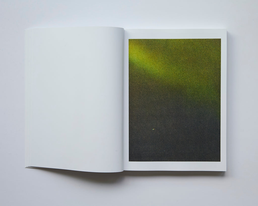 Alessio Bolzoni - Bloom or Bust