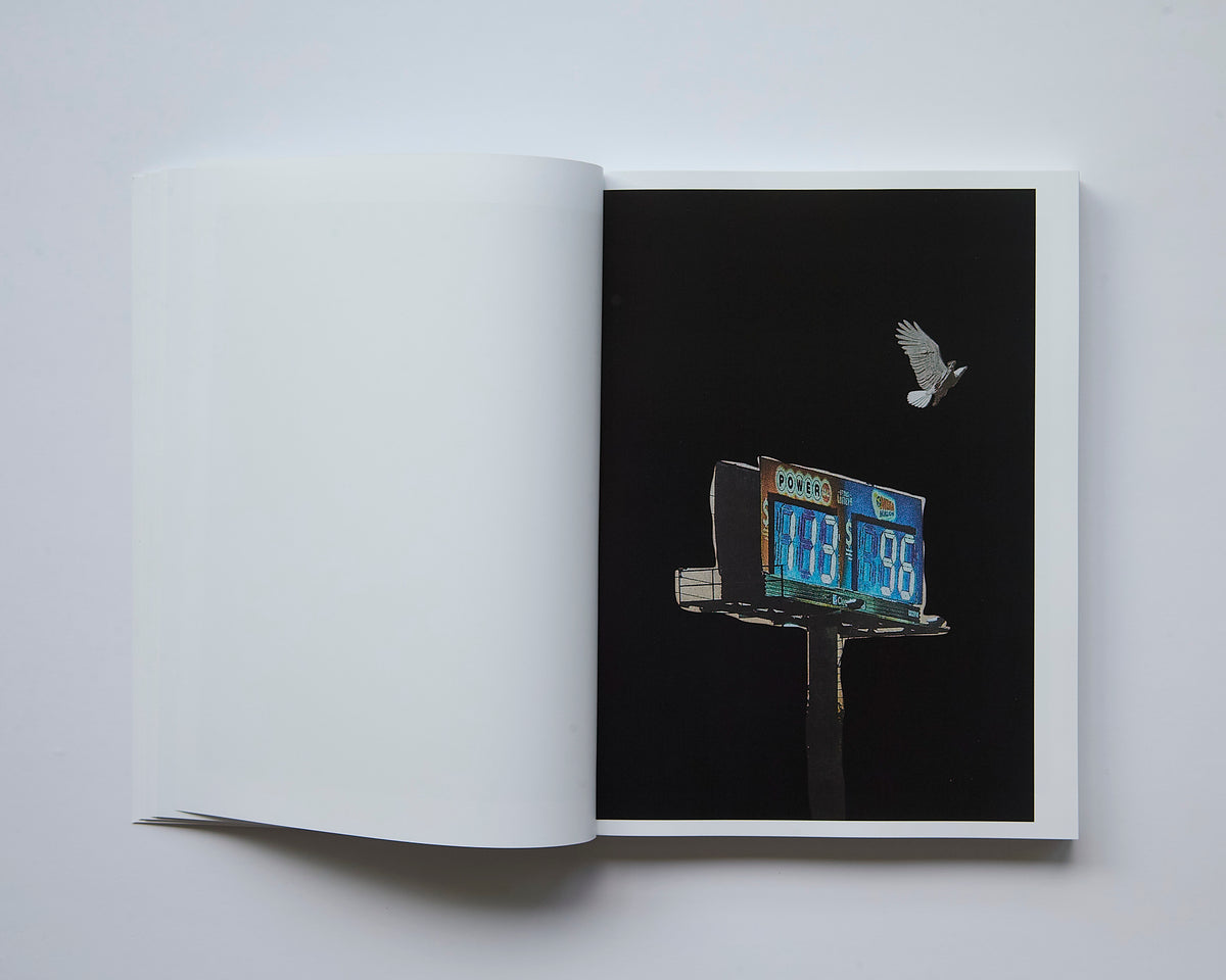 Alessio Bolzoni - Bloom or Bust
