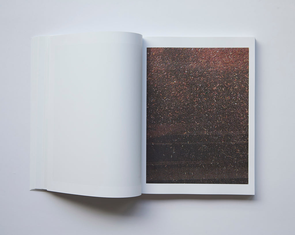 Alessio Bolzoni - Bloom or Bust