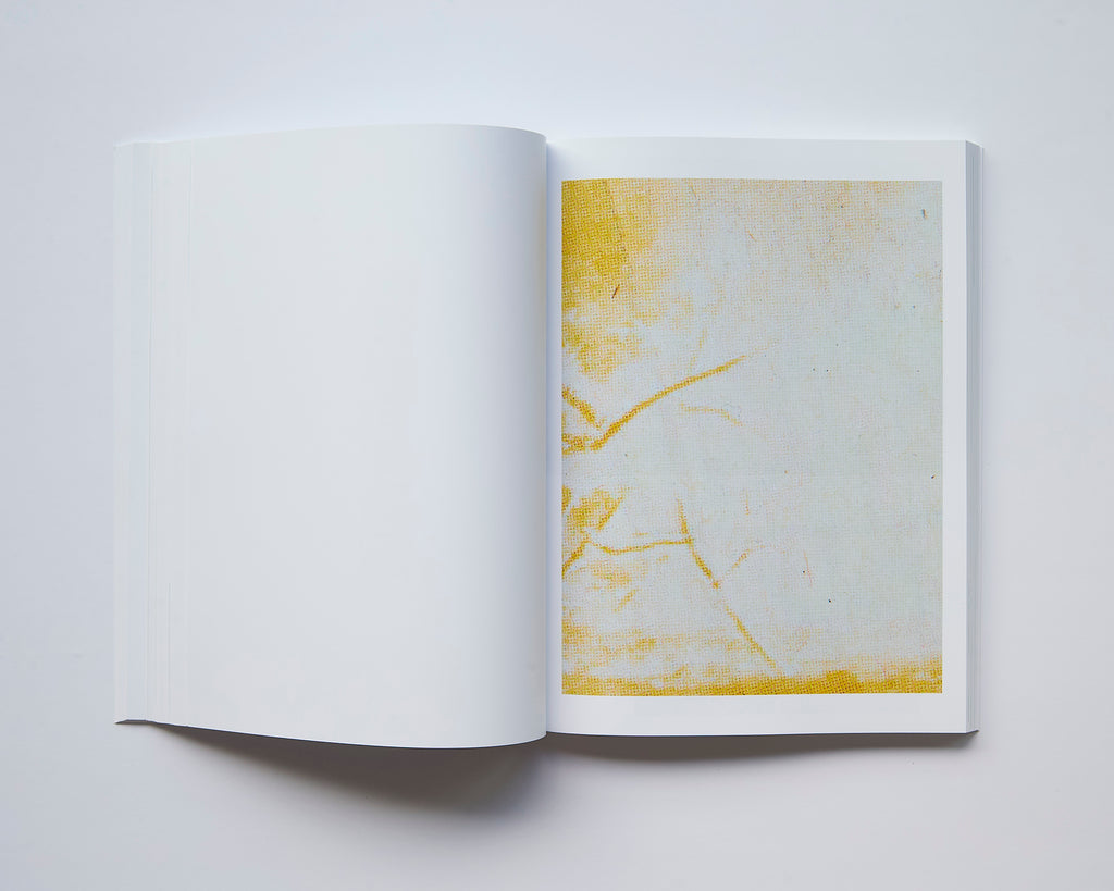 Alessio Bolzoni - Bloom or Bust