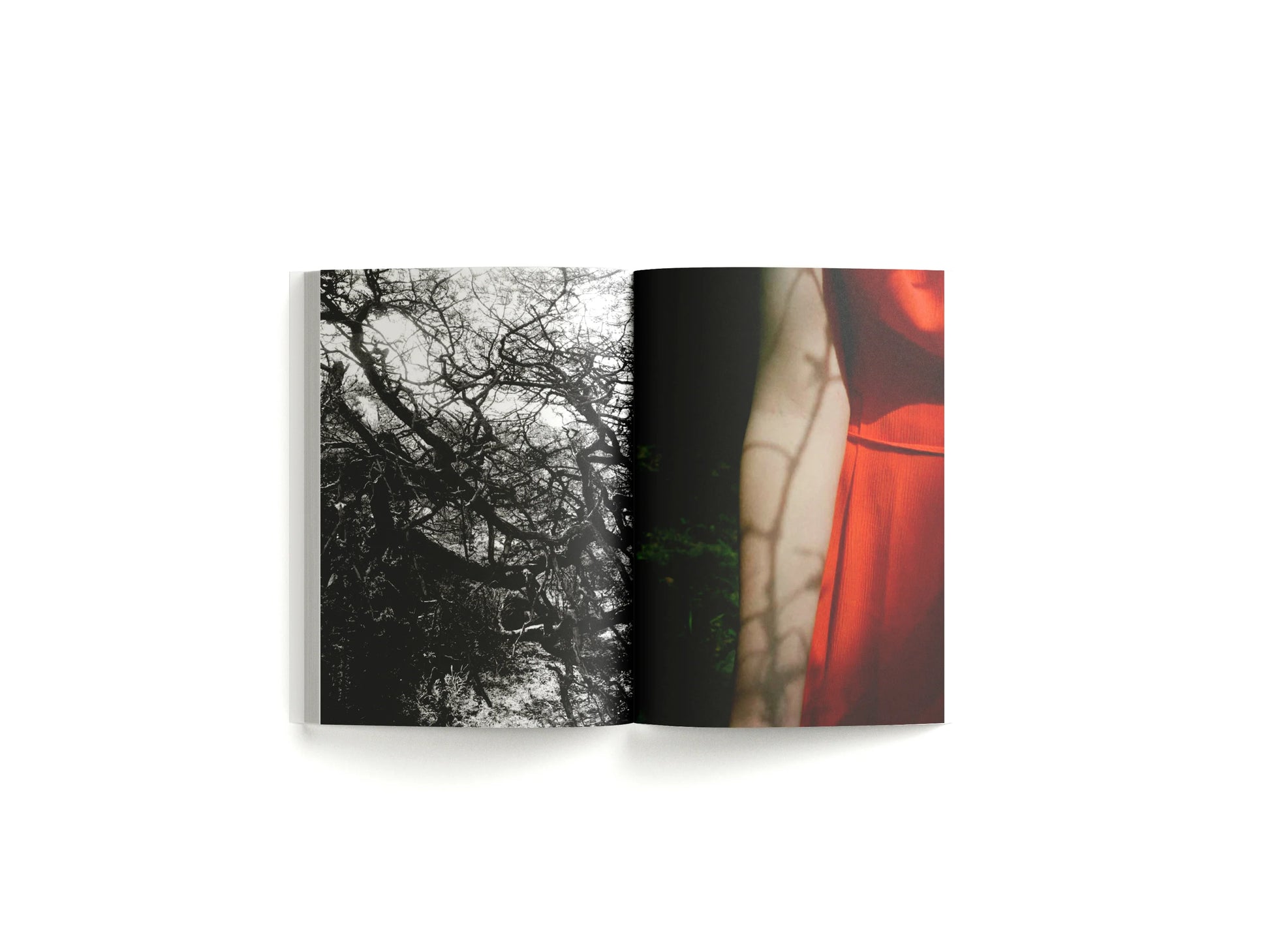 限定版】Lina Scheynius 07 Limited Edition Lina Scheynius 限定版】Lina Scheynius 07 Limited Edition Lina Scheynius