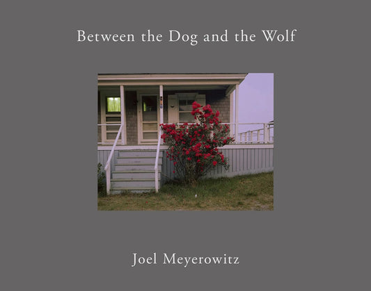 Joel Meyerowitz - Between the Dog and the Wolf (2nd Ed.)
