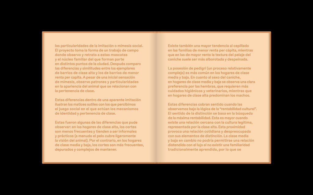 Laura Leal - Apricot Poodle