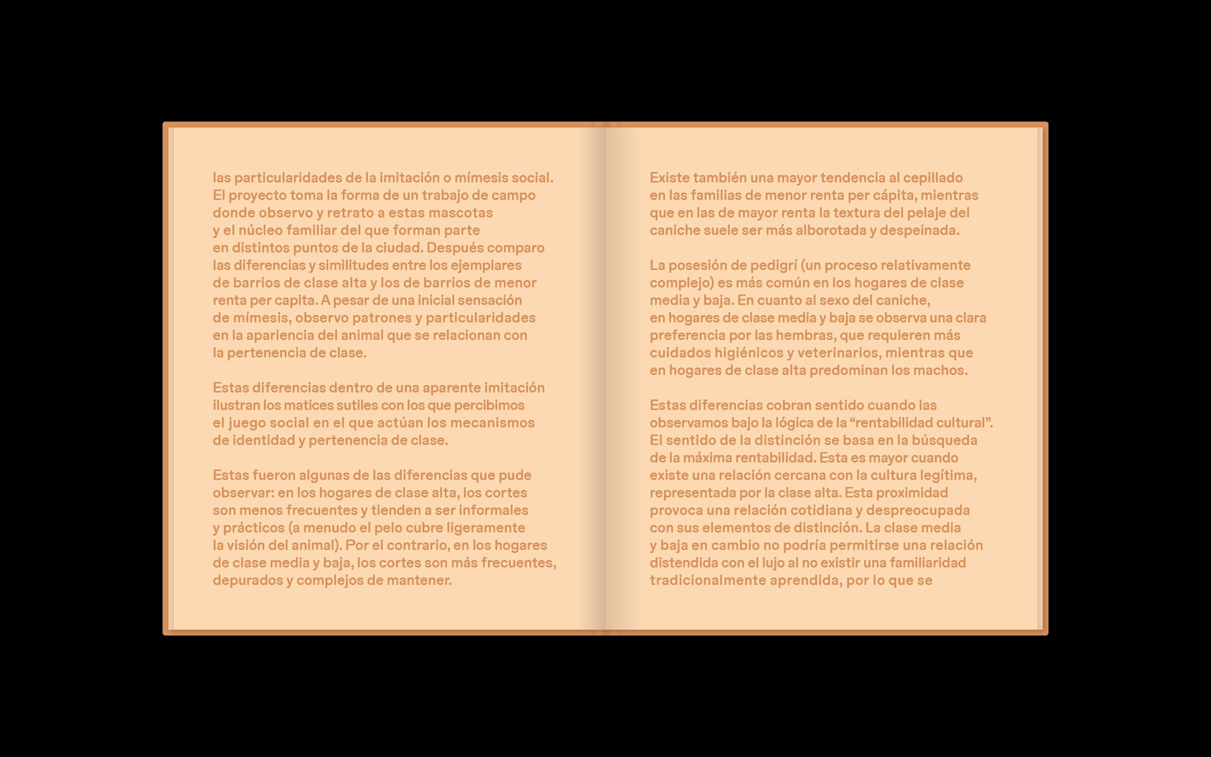 Laura Leal - Apricot Poodle