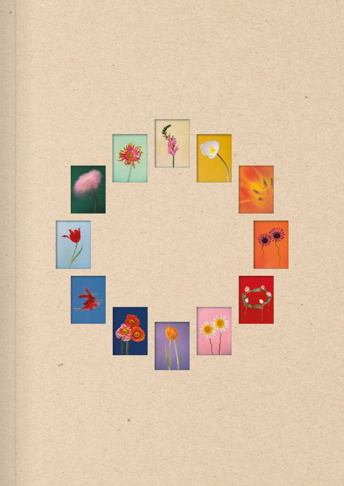 Paula Codoner - The Chromatics of Flowers