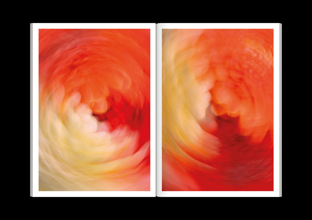 Paula Codoner - The Chromatics of Flowers