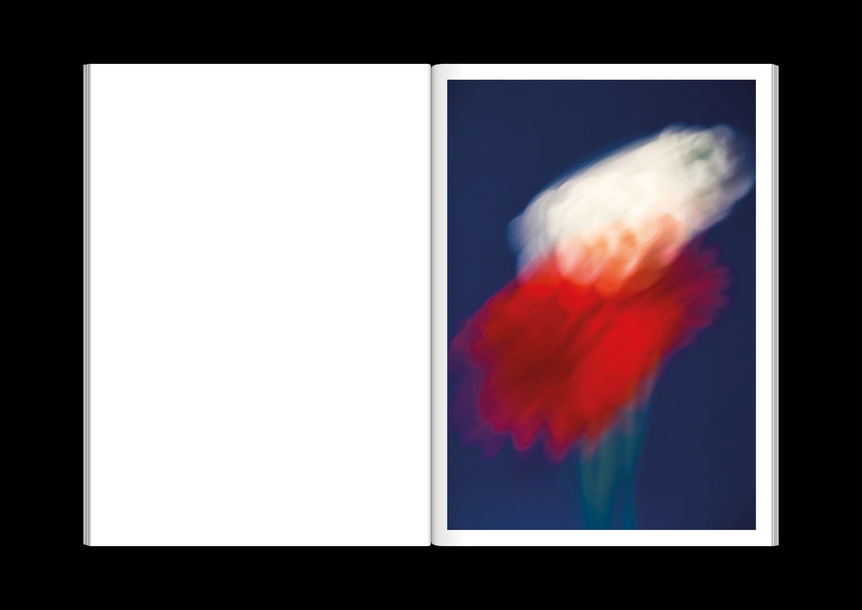 Paula Codoner - The Chromatics of Flowers