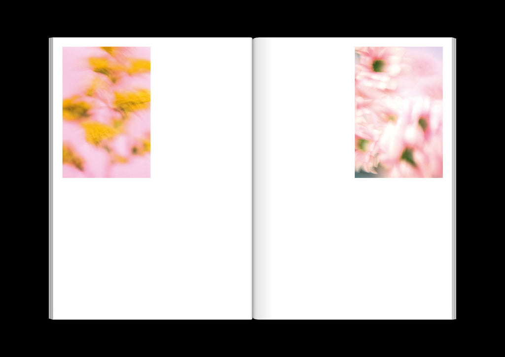 Paula Codoner - The Chromatics of Flowers