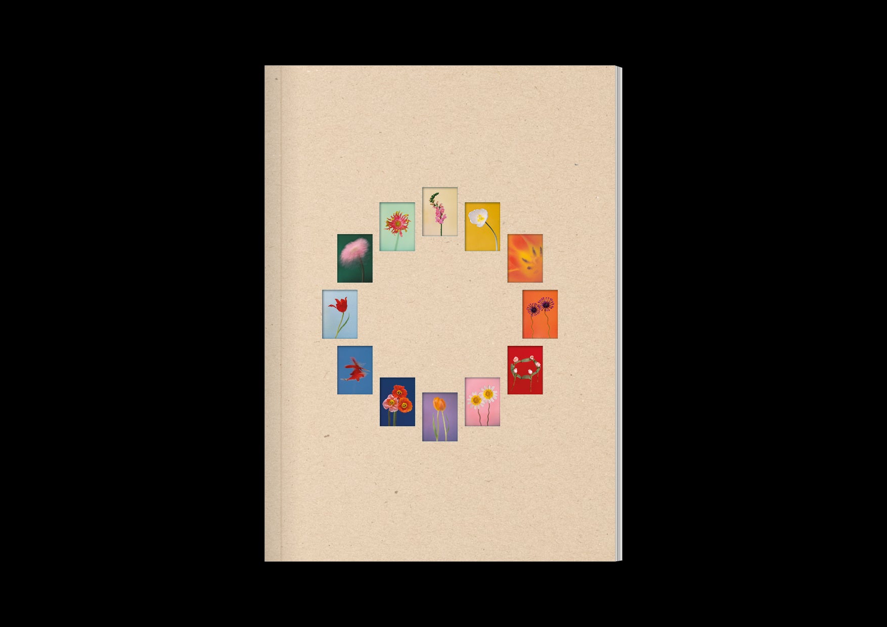 Paula Codoner - The Chromatics of Flowers