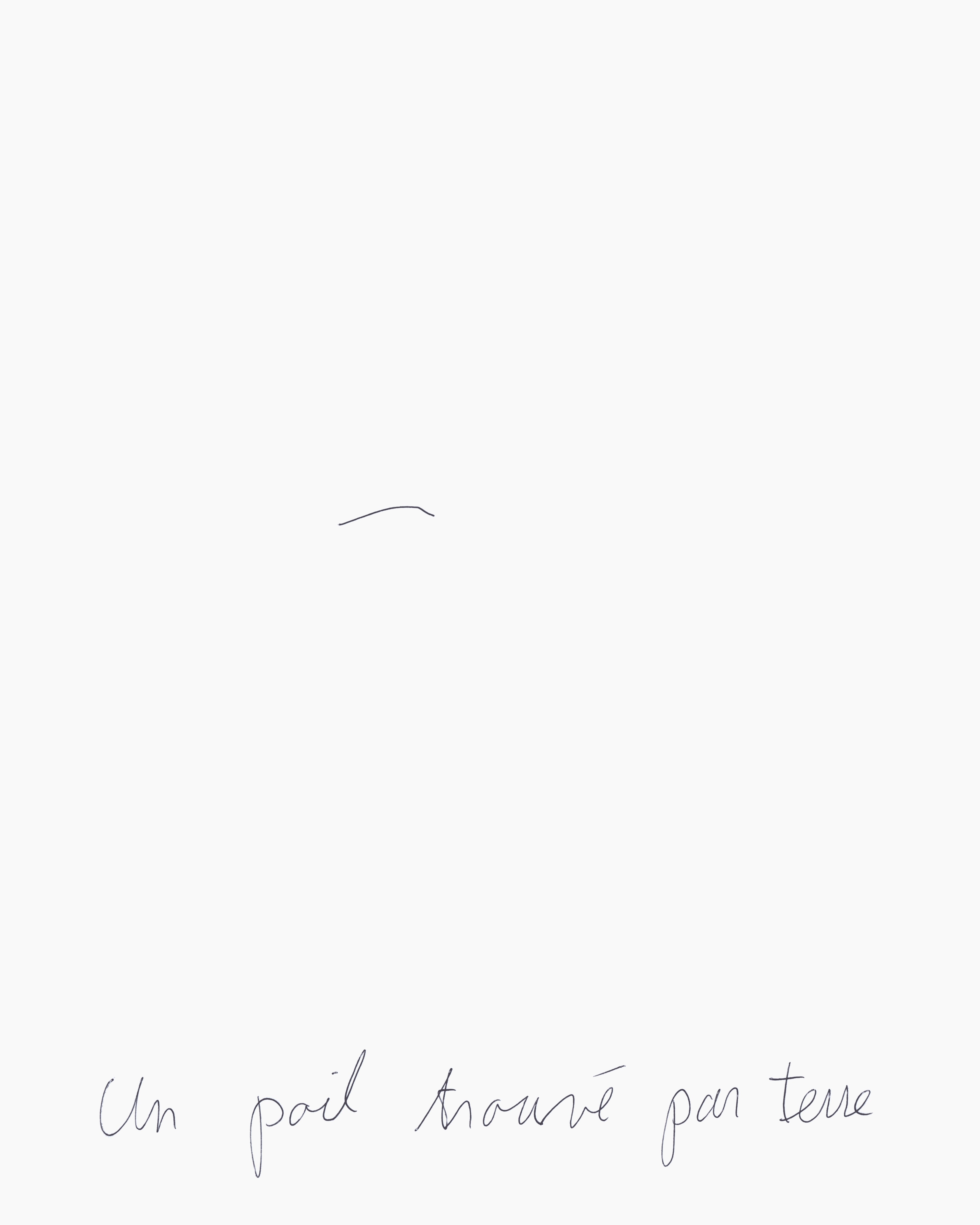 Claude Closky <br><em>Un poil trouvé par terre</em>, 1993