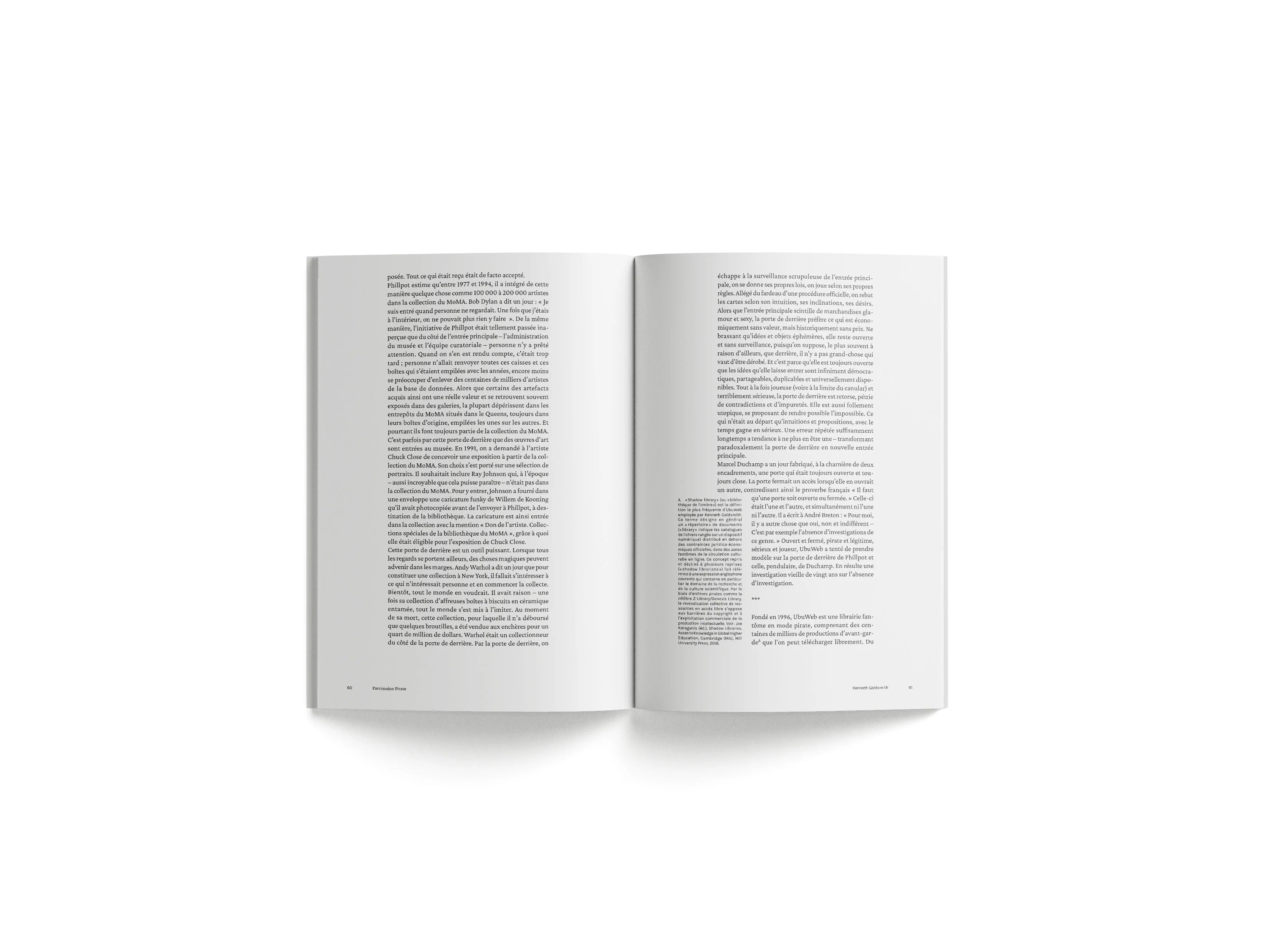 Kenneth Goldsmith - Patrimoine pirate