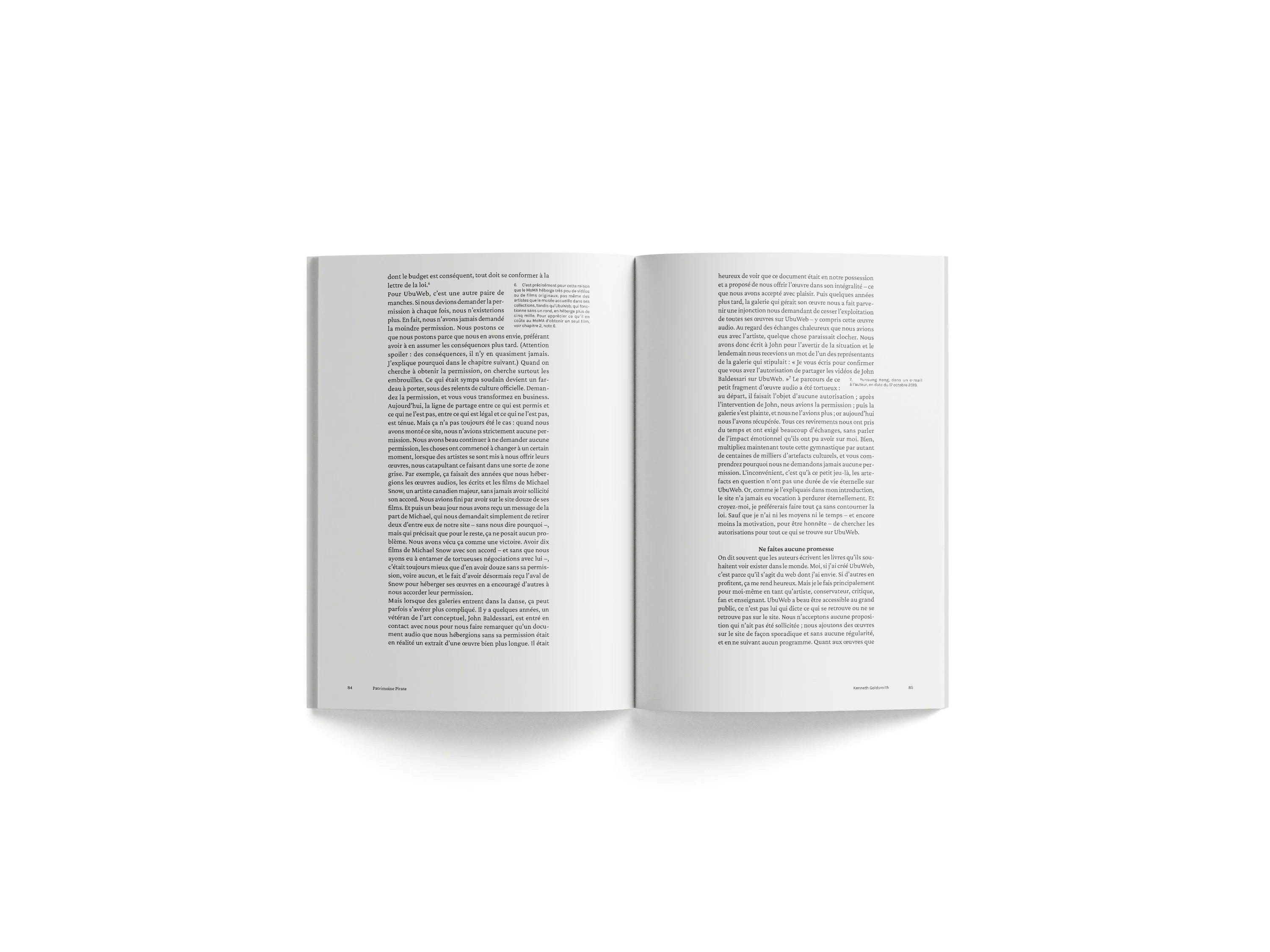 Kenneth Goldsmith - Patrimoine pirate