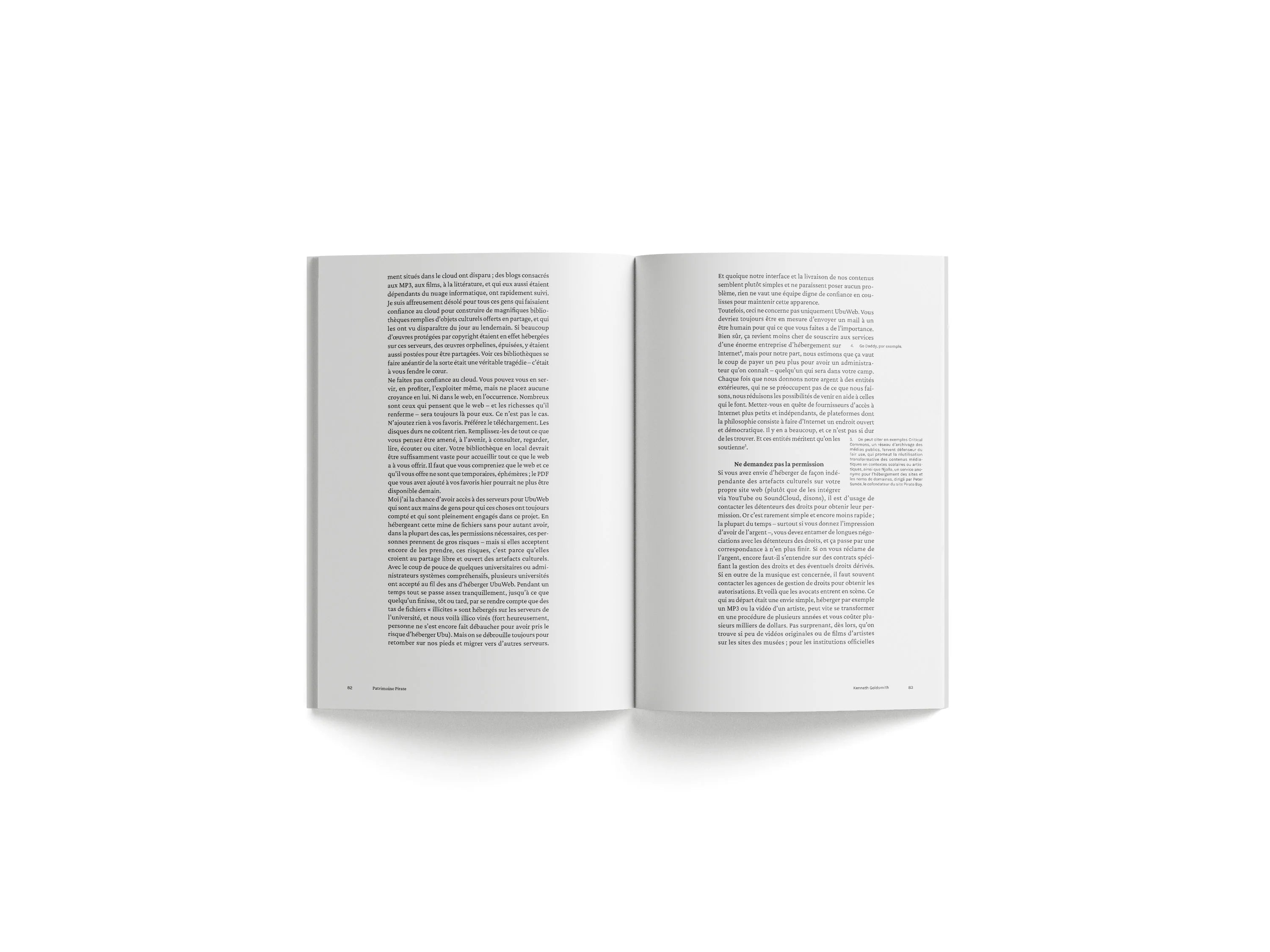 Kenneth Goldsmith - Patrimoine pirate