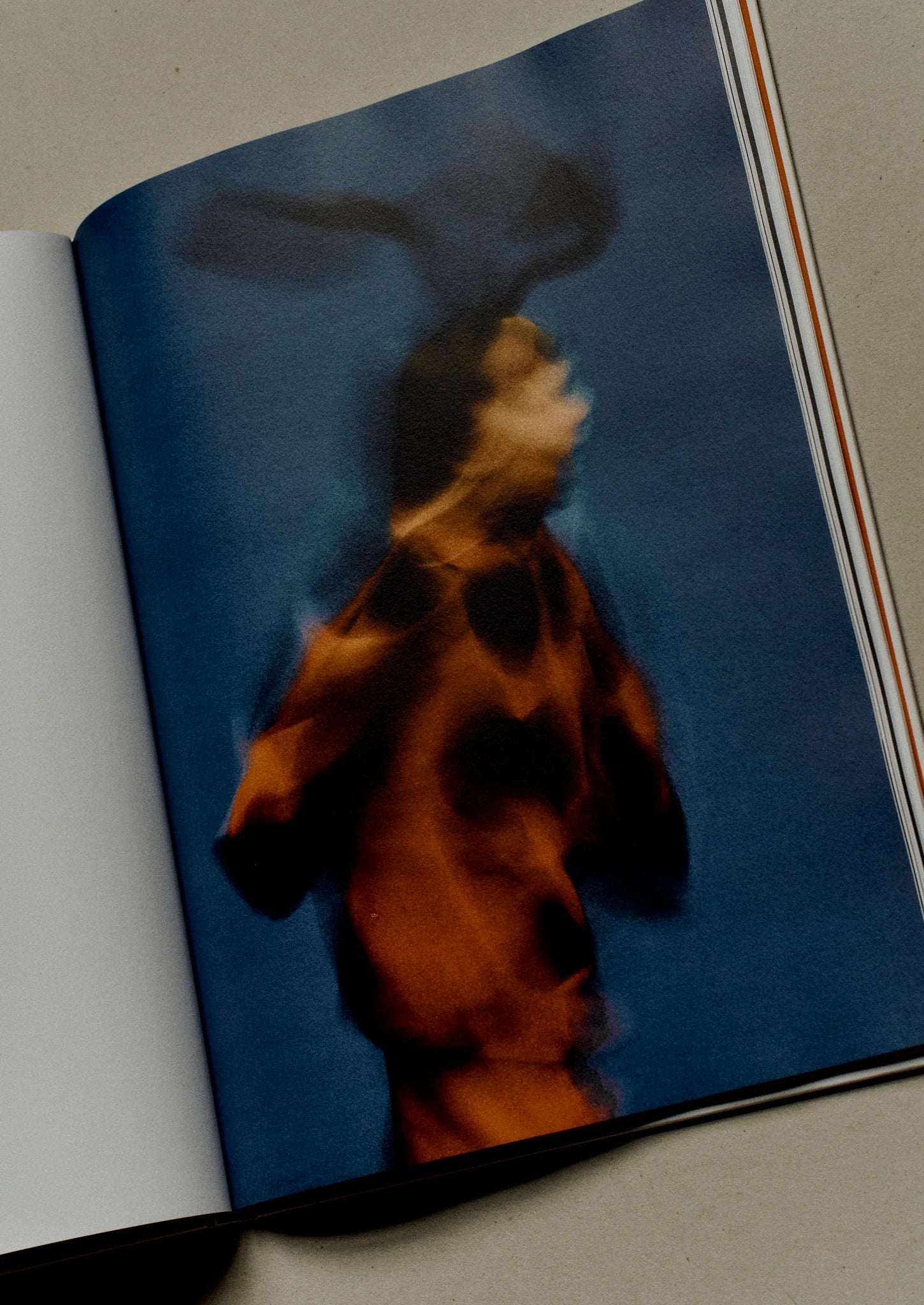 Jack Davison - A is for Ant – Yvon Lambert Paris