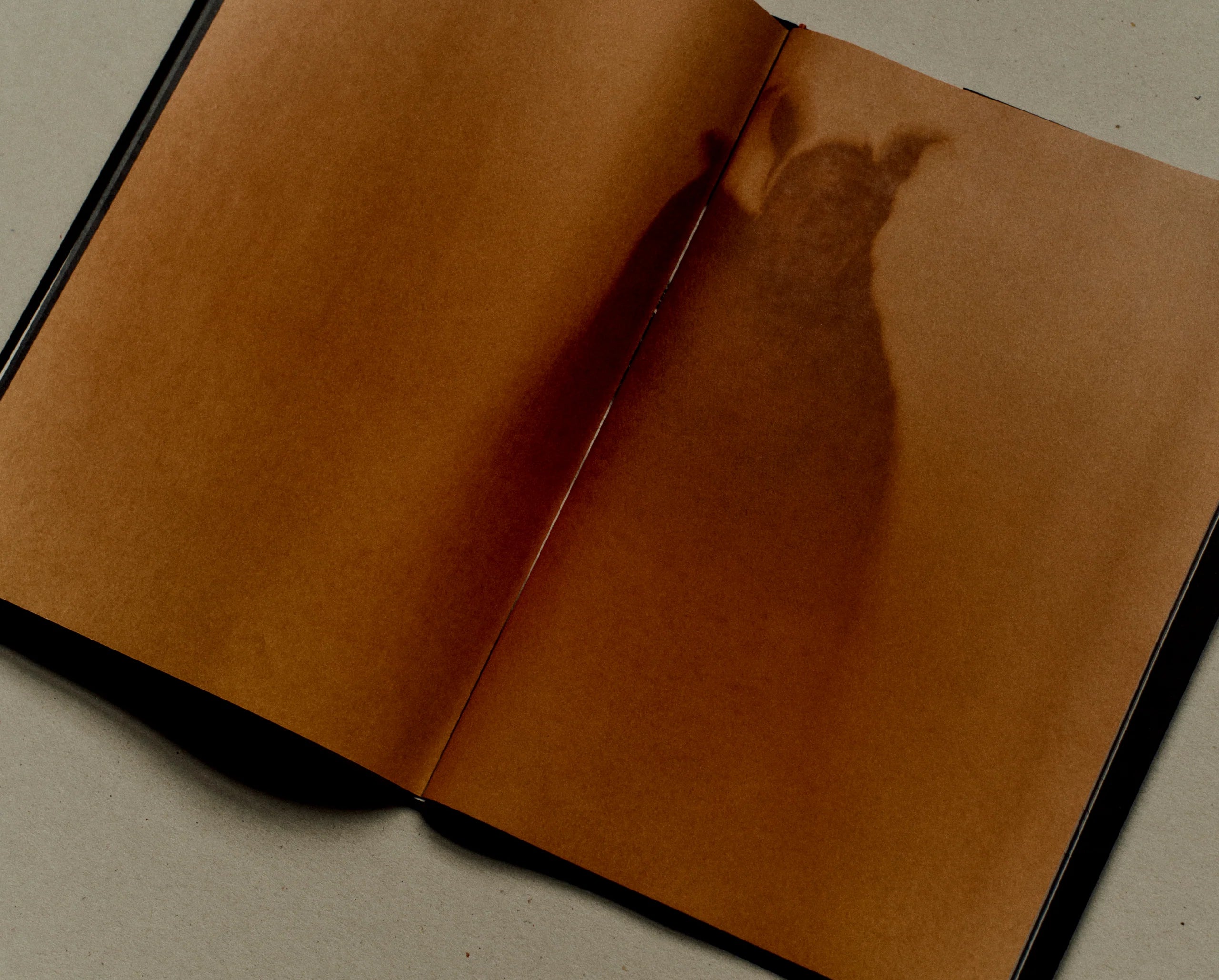 Jack Davison - A is for Ant (Children's Edition)