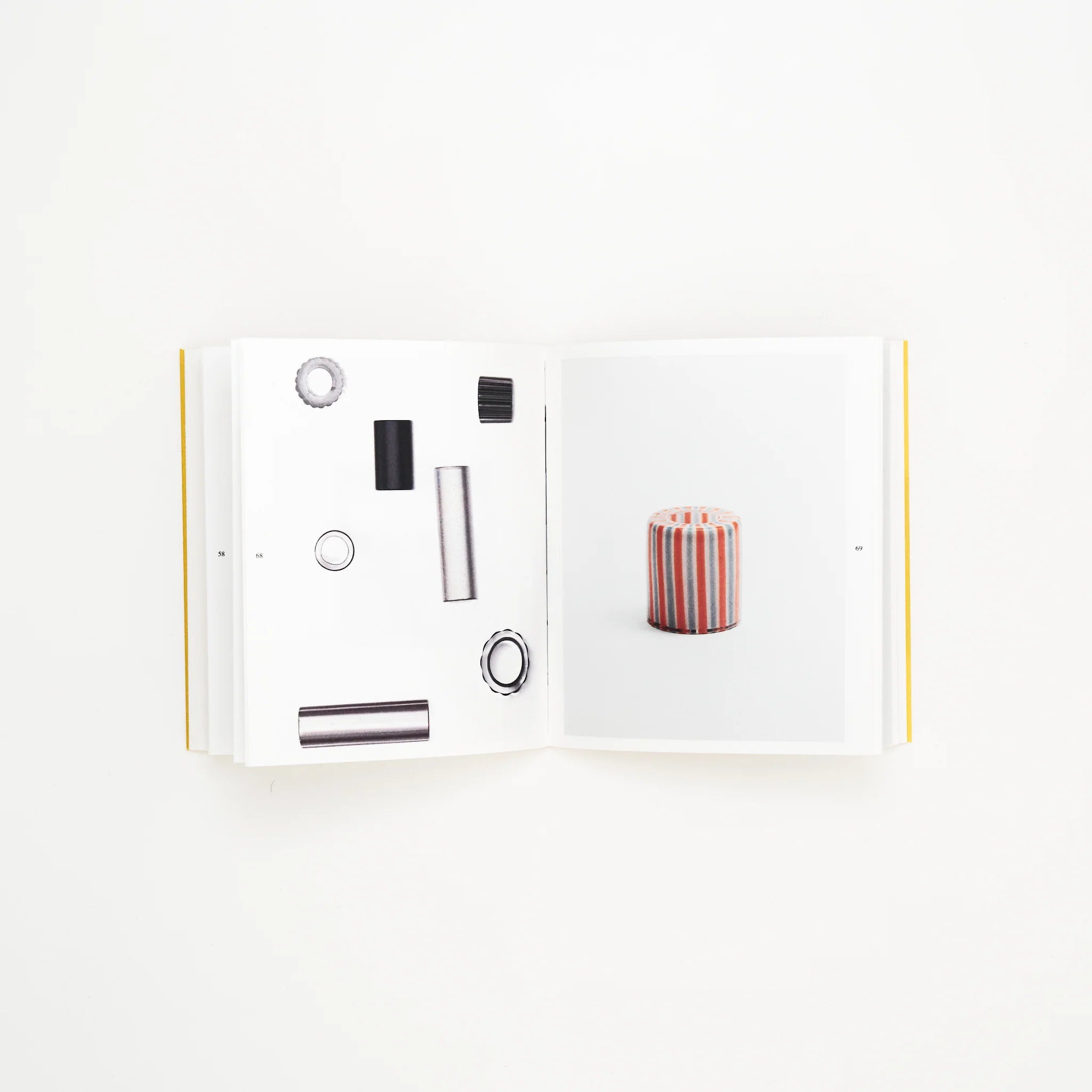Paola Petrobelli - Glas, Plexi