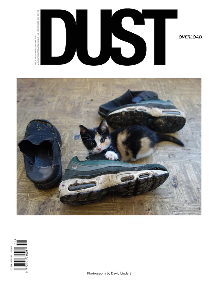 DUST - N°29