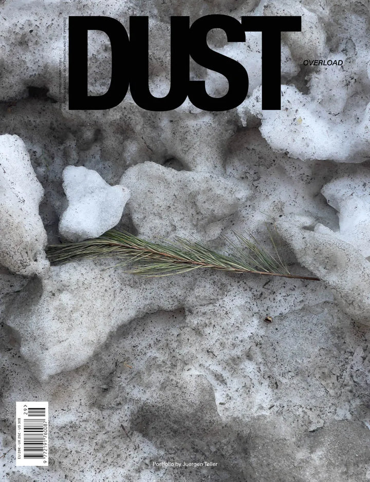 DUST - N°29