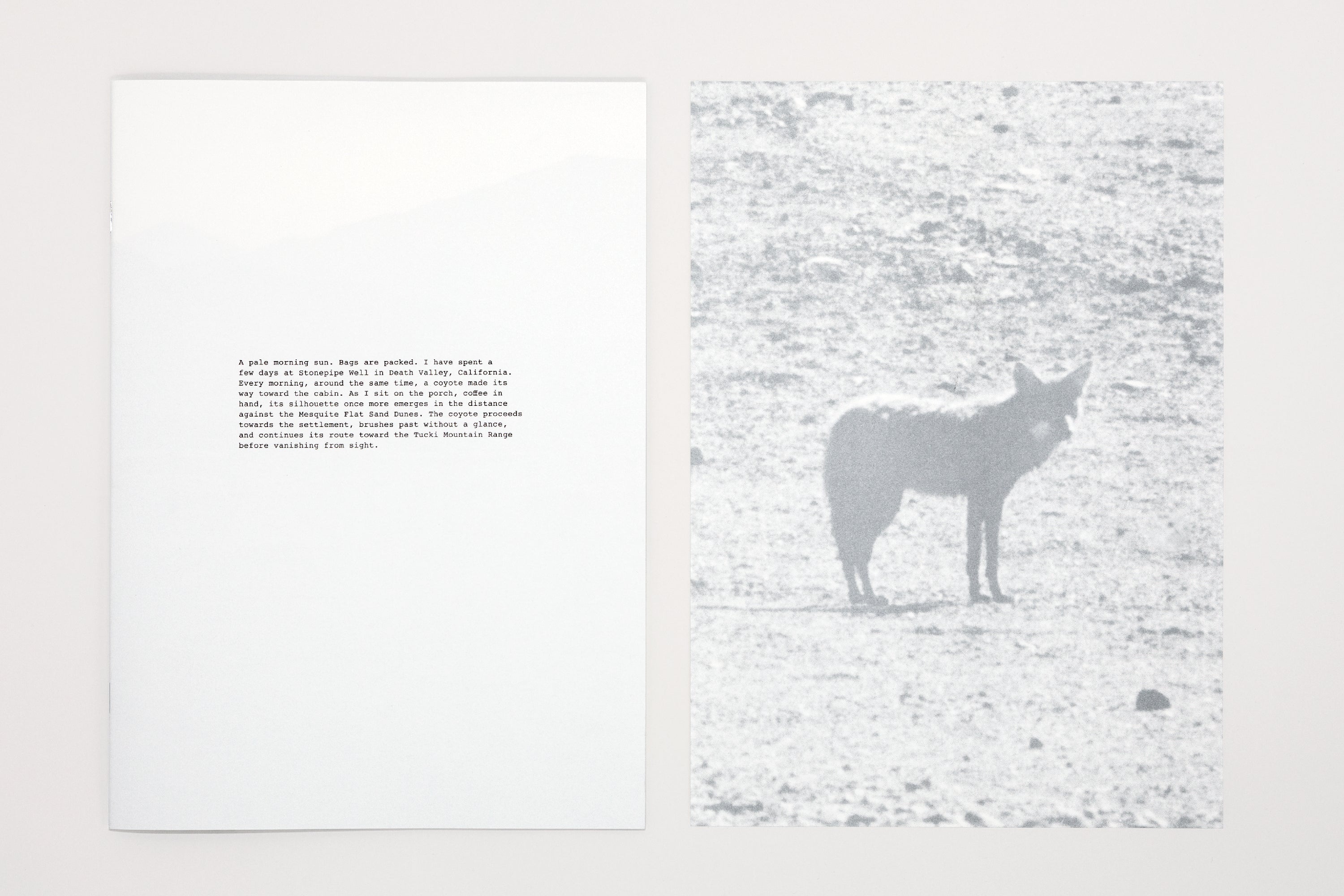 Daniel Gustav Cramer - Renard et Coyote