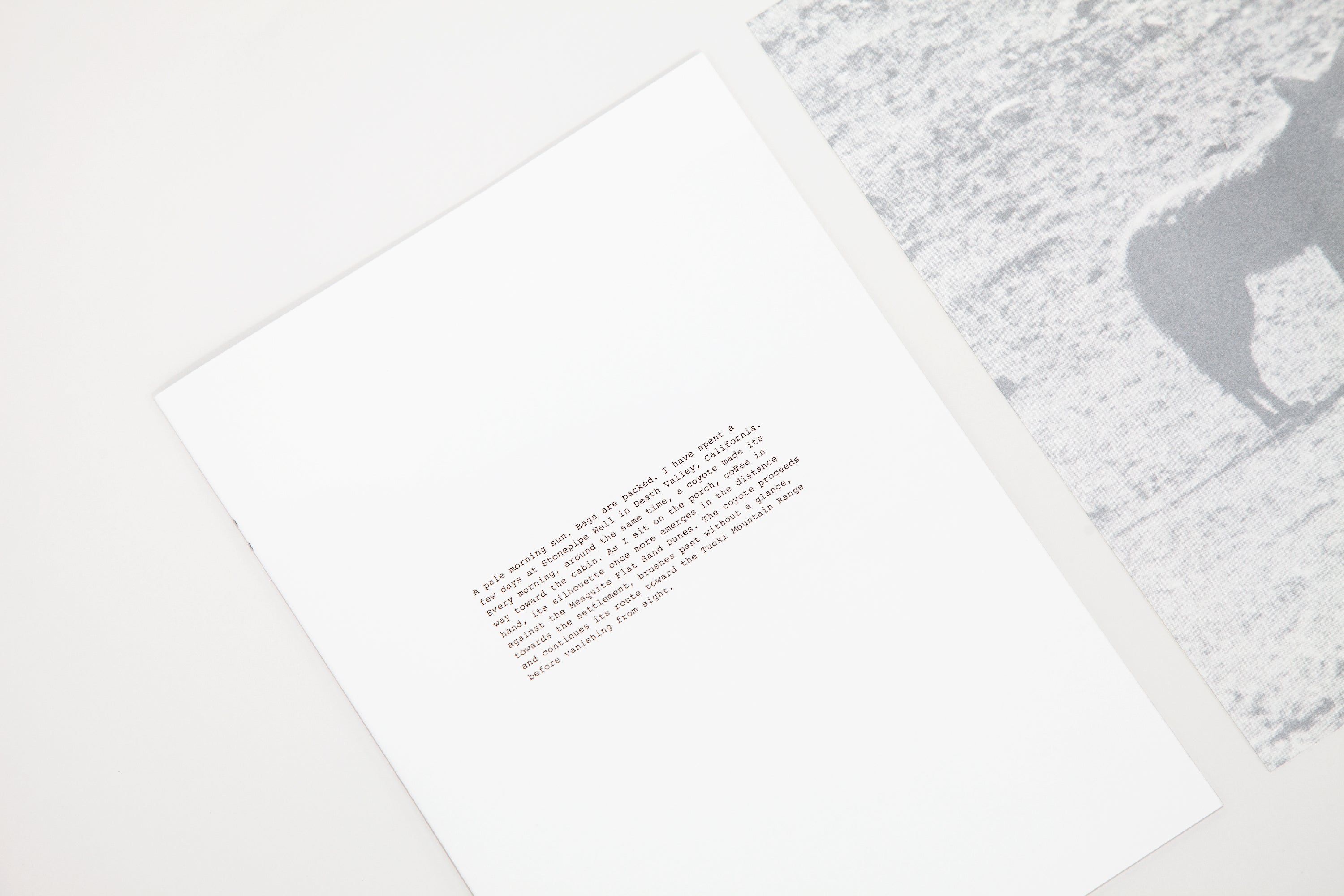 Daniel Gustav Cramer - Fox & Coyote