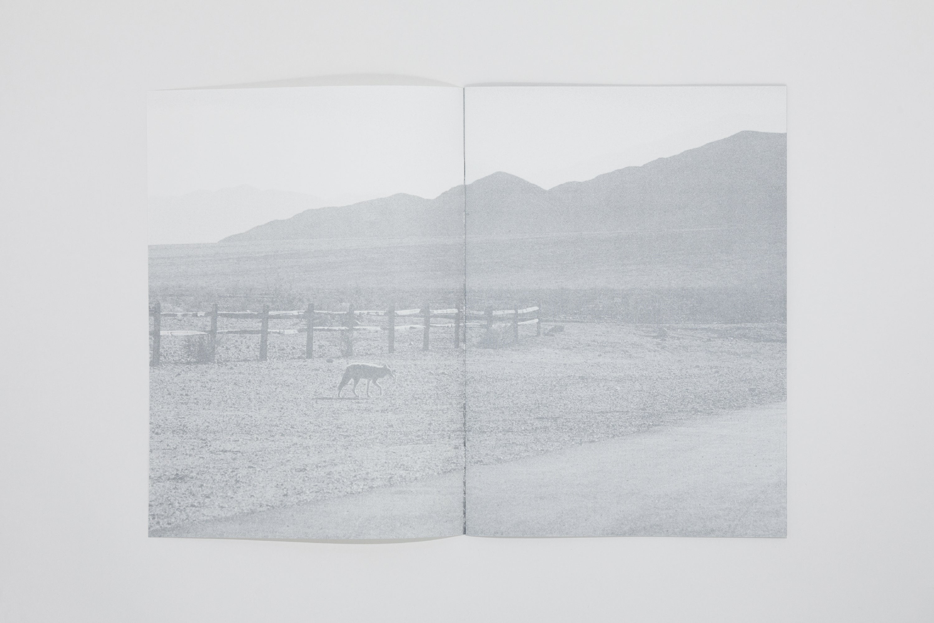 Daniel Gustav Cramer - Renard et Coyote