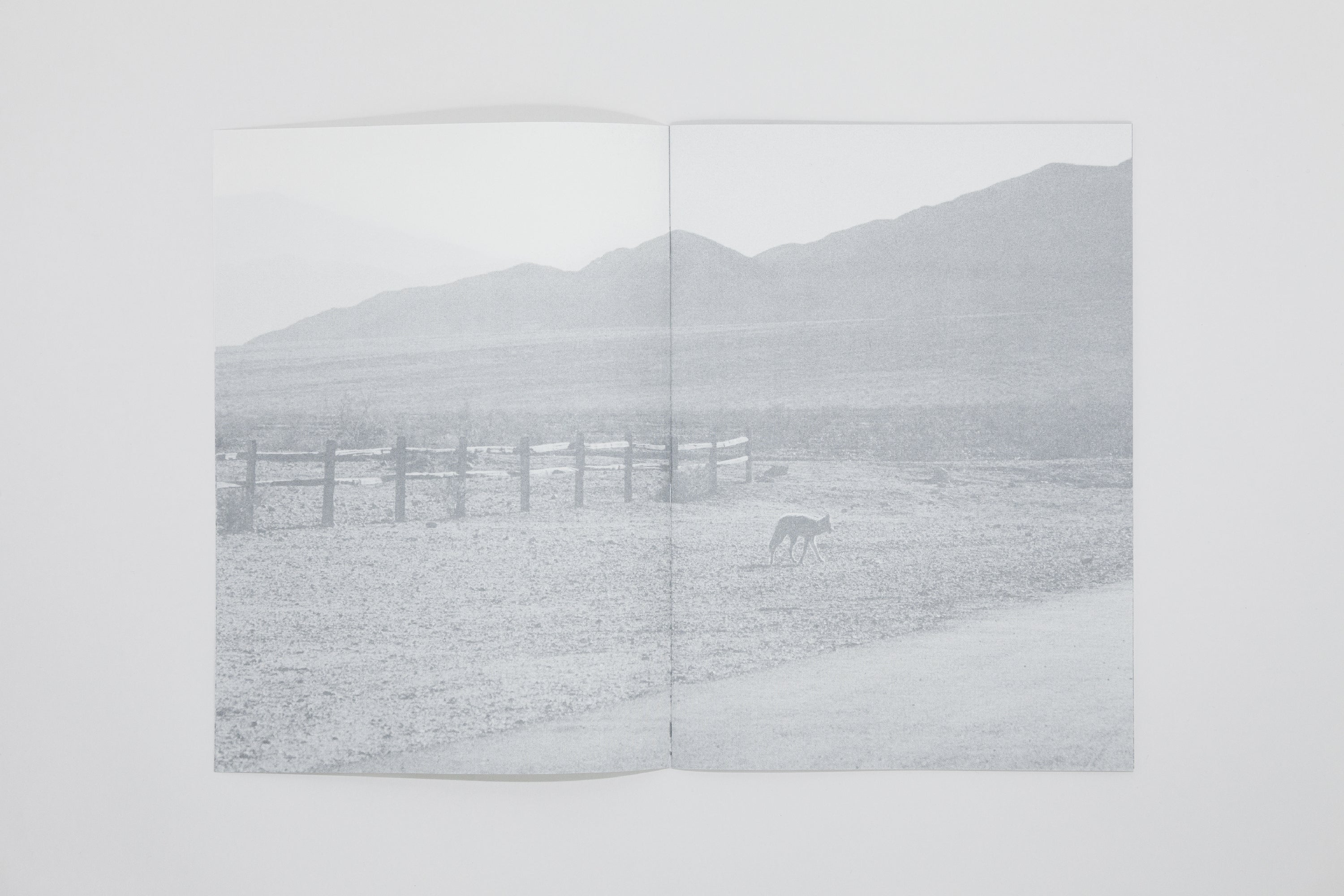 Daniel Gustav Cramer - Renard et Coyote