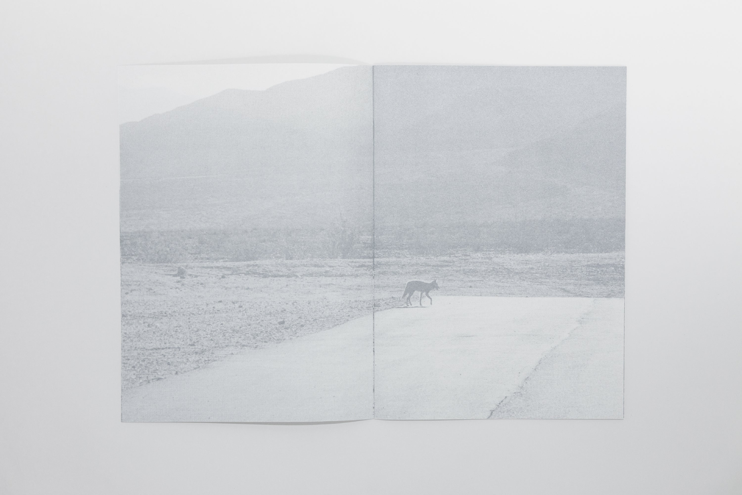 Daniel Gustav Cramer - Renard et Coyote