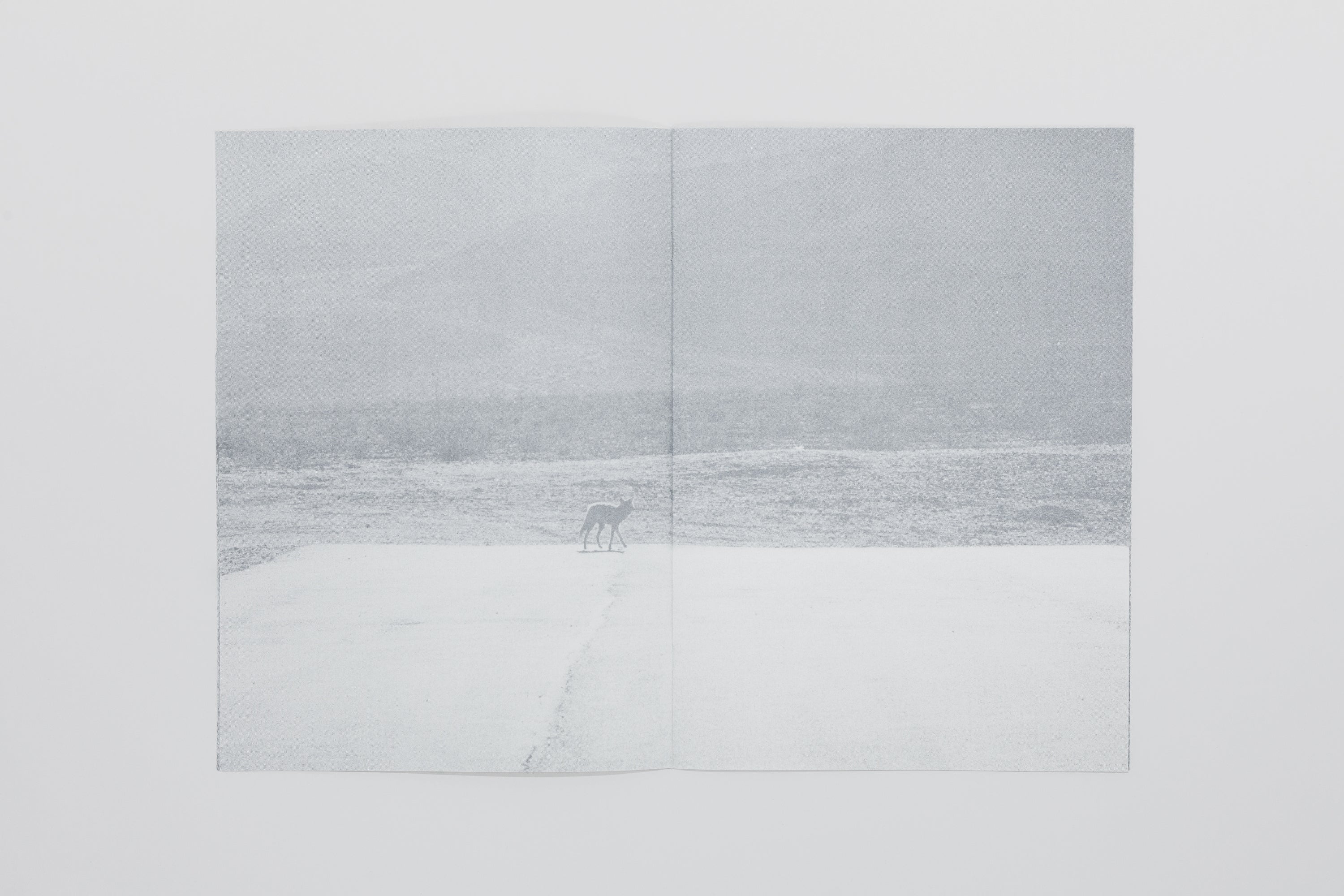 Daniel Gustav Cramer - Fox & Coyote