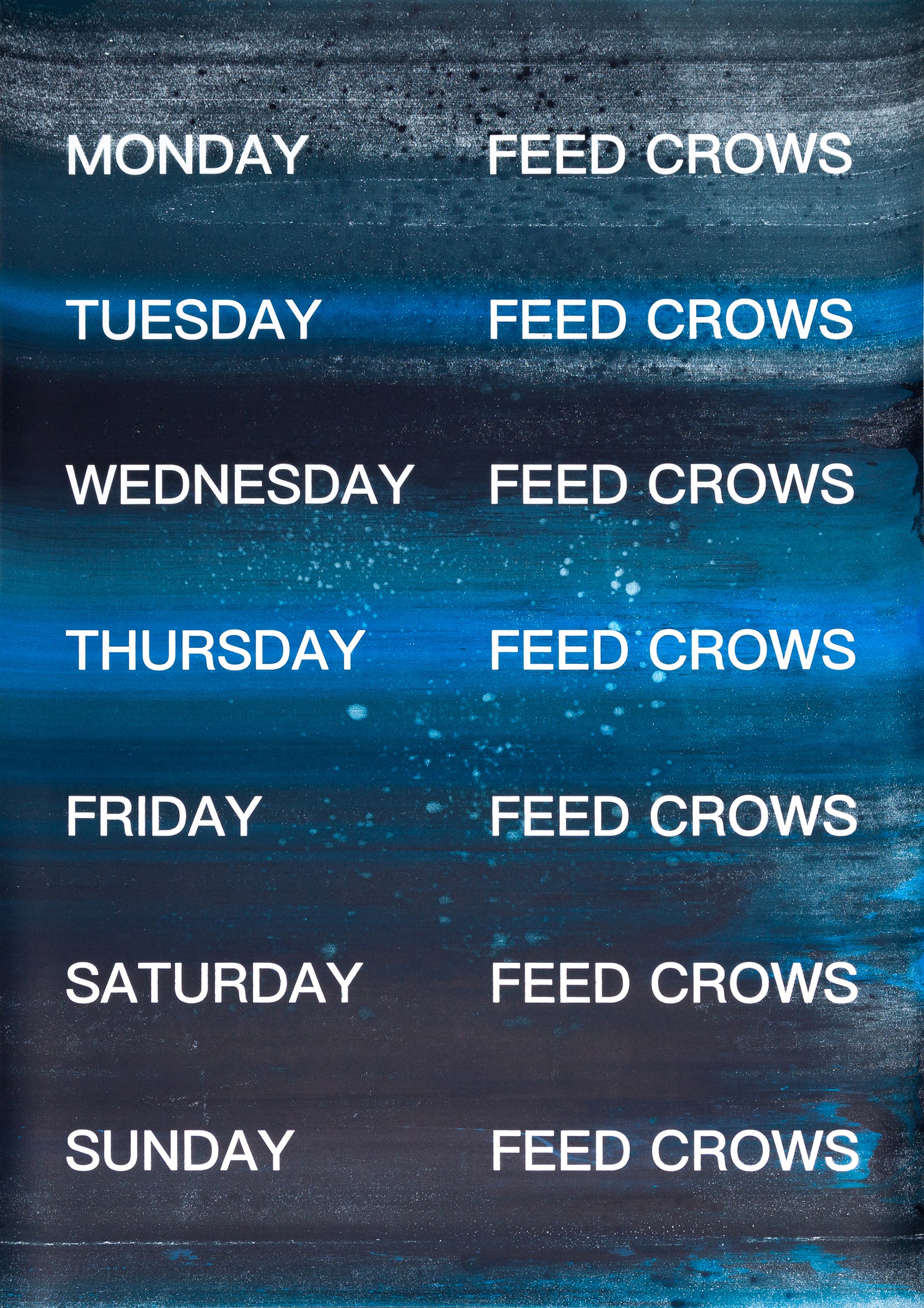 David Horvitz - Feed Crows (Print)