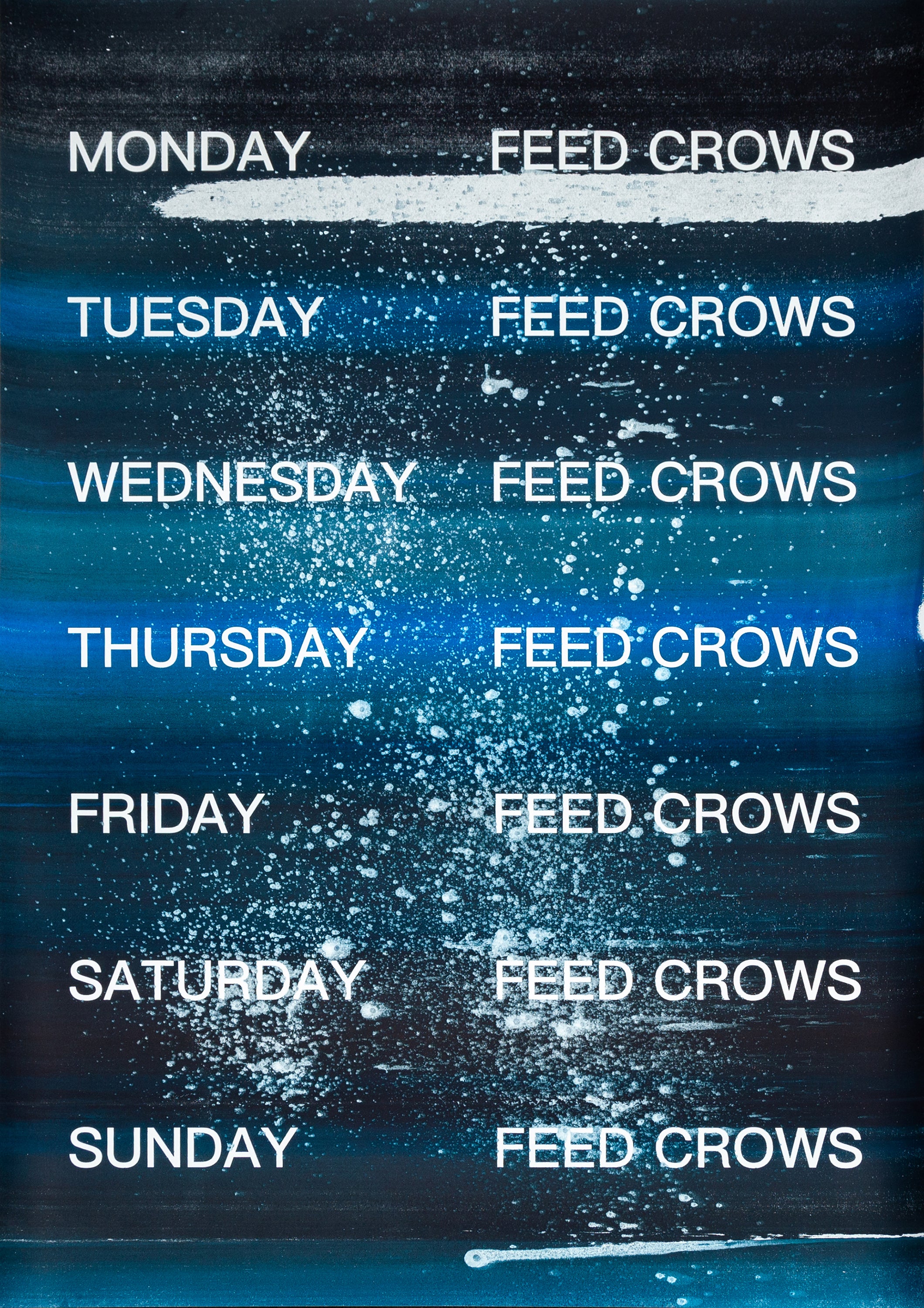 David Horvitz - Feed Crows (Print)