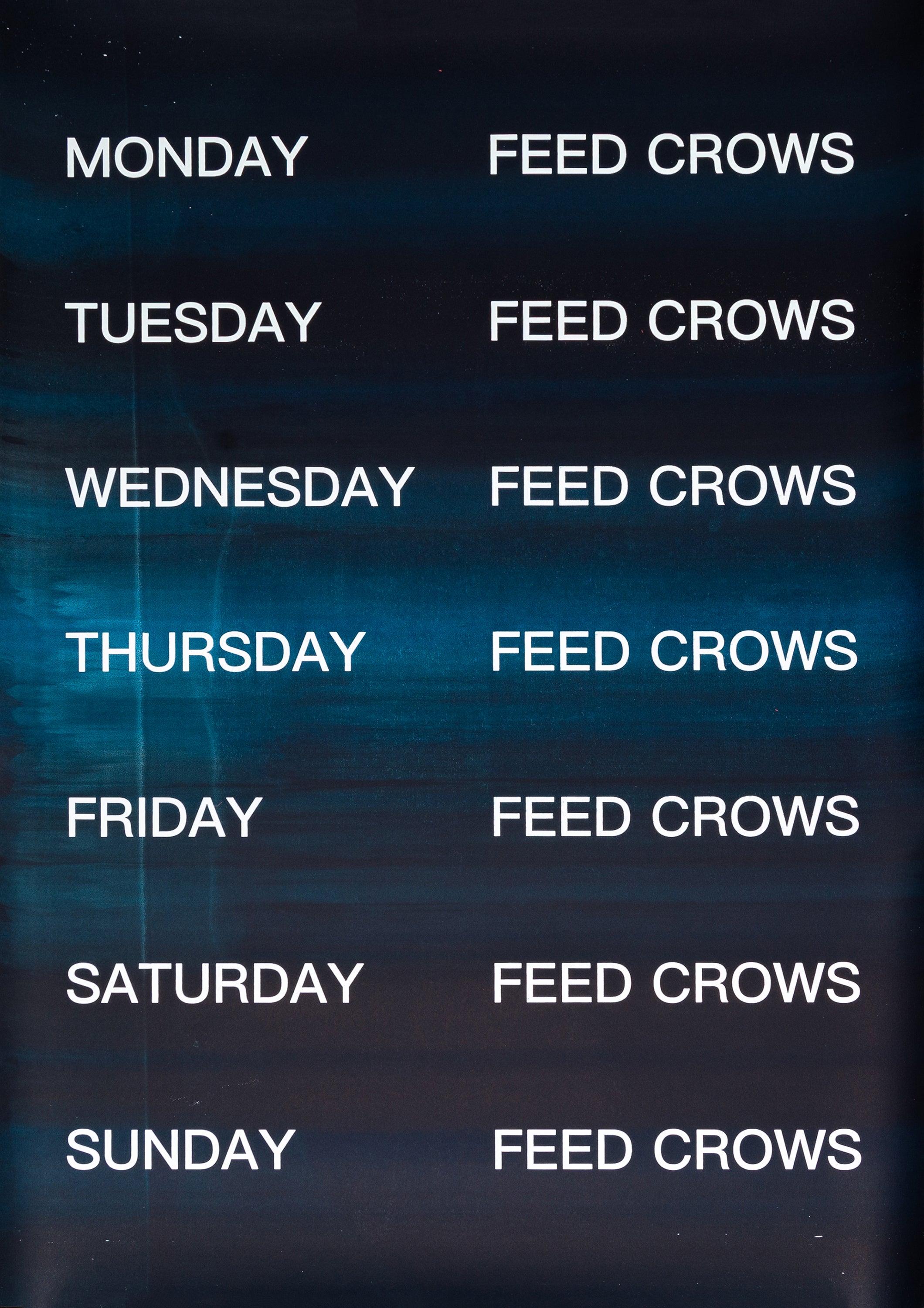 David Horvitz - Feed Crows (Print)