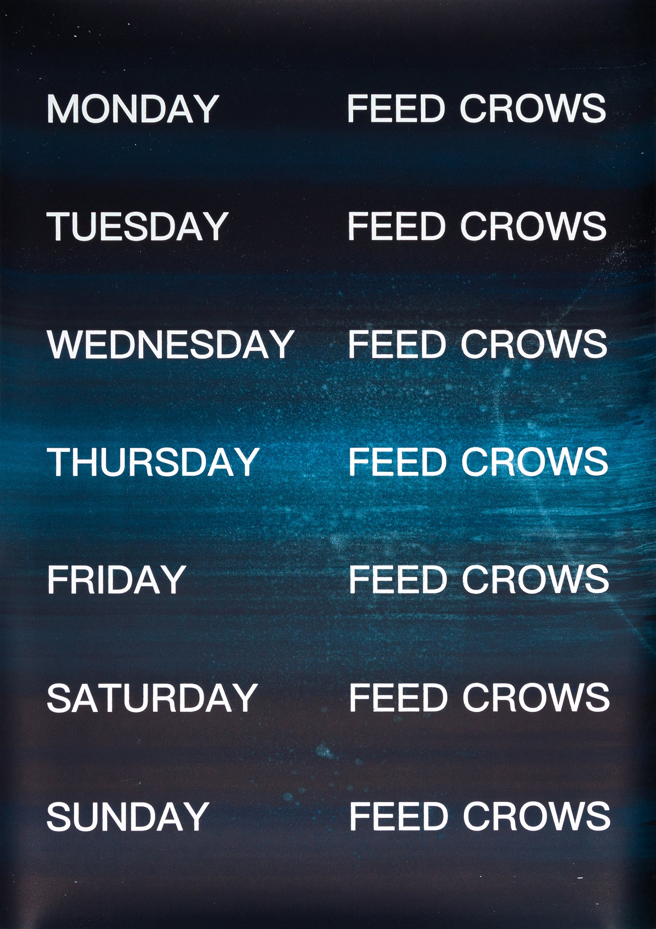 David Horvitz - Feed Crows (Print)