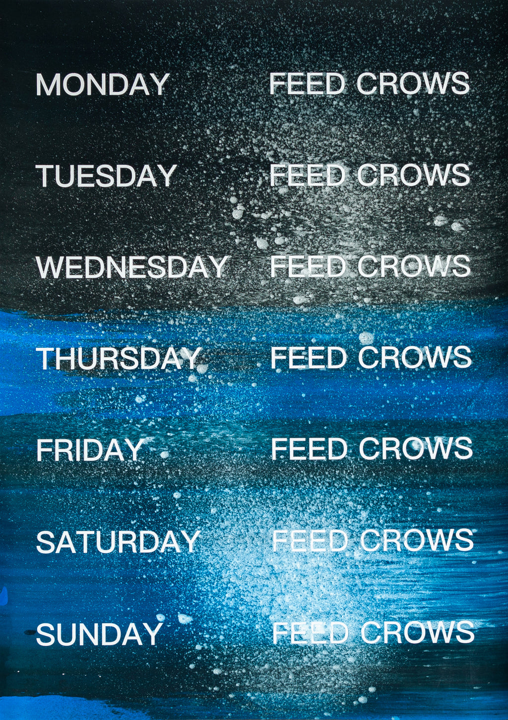 David Horvitz - Feed Crows (Print)