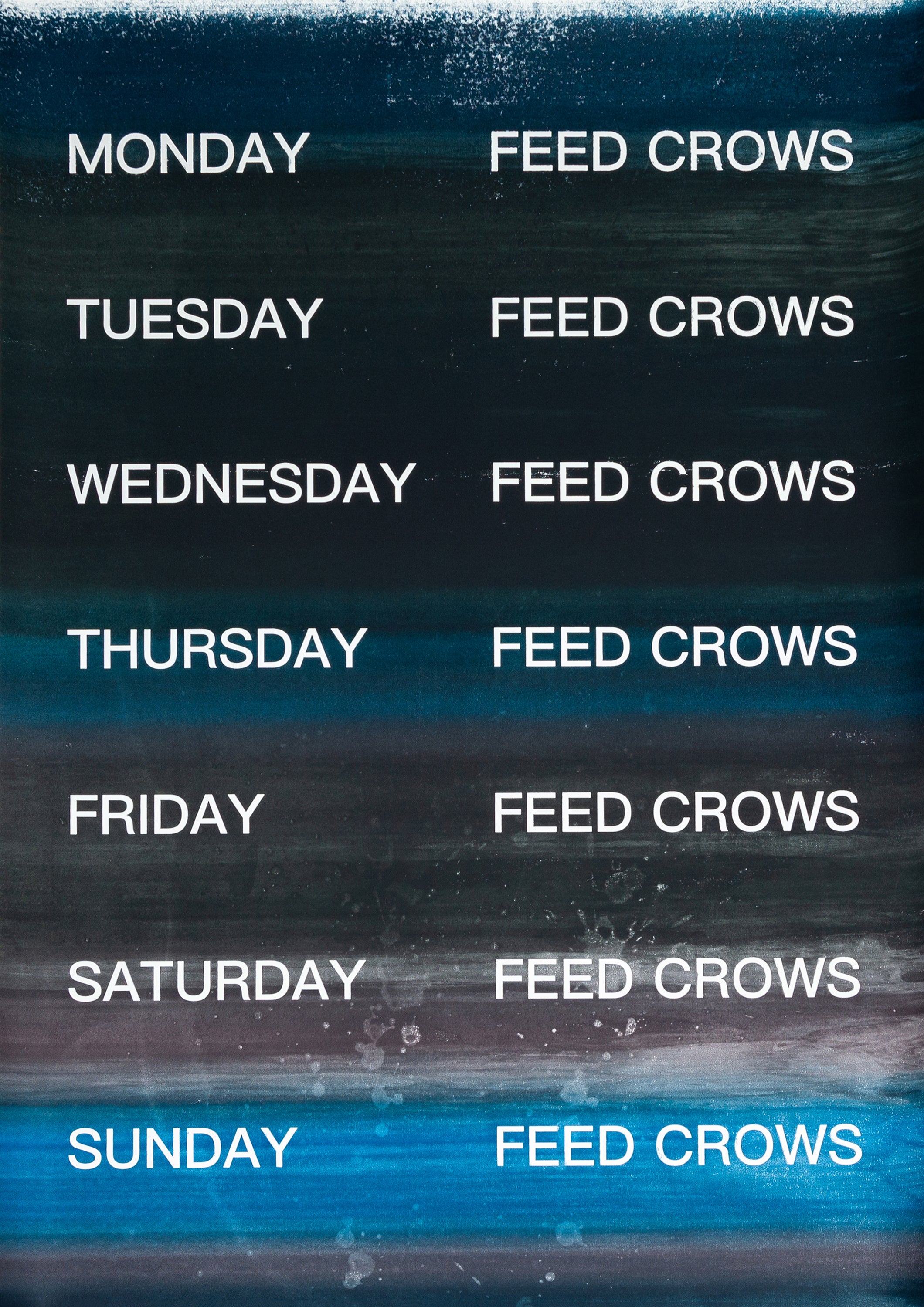 David Horvitz - Feed Crows (Print)