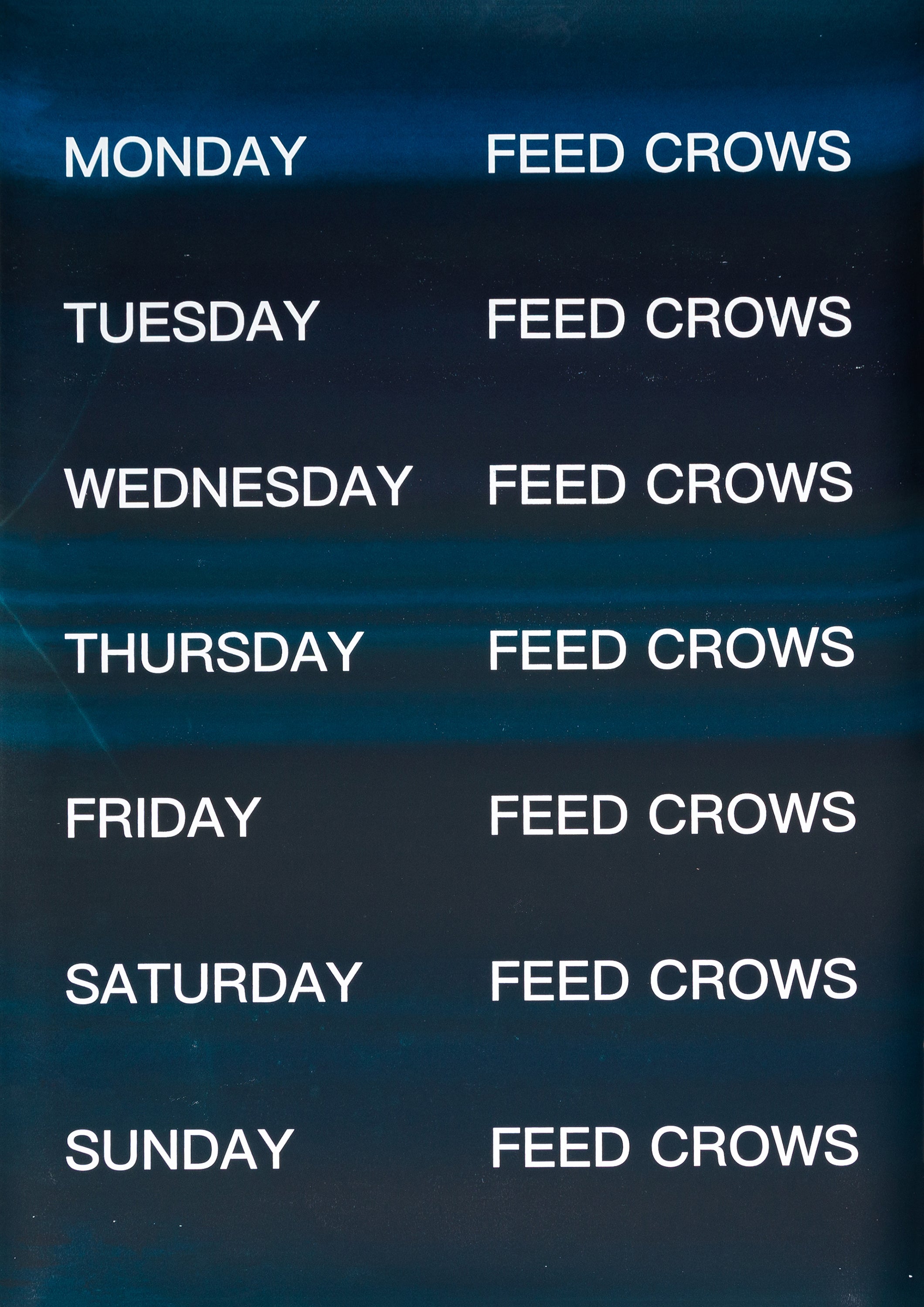 David Horvitz - Feed Crows (Print)