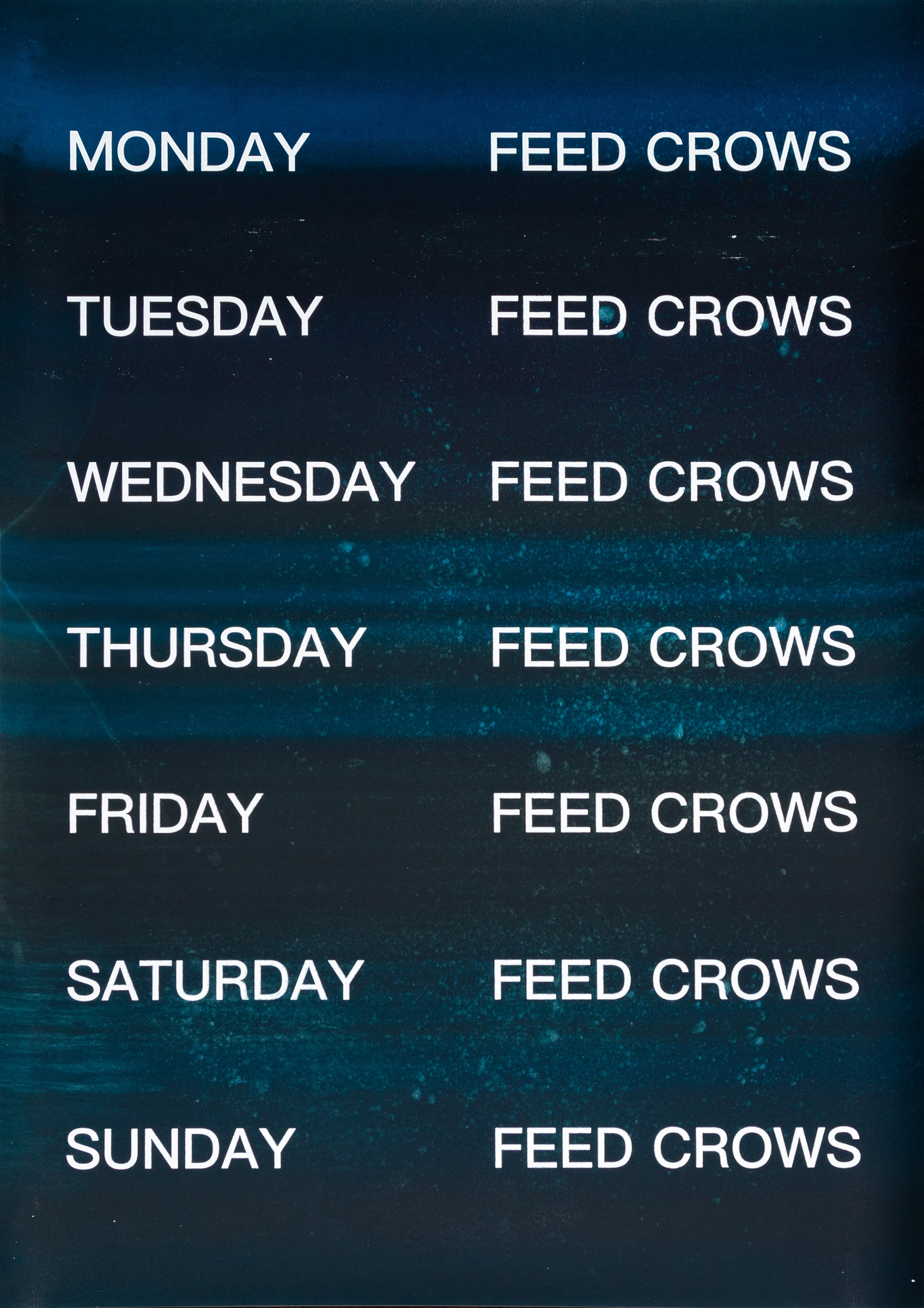 David Horvitz - Feed Crows (Print)