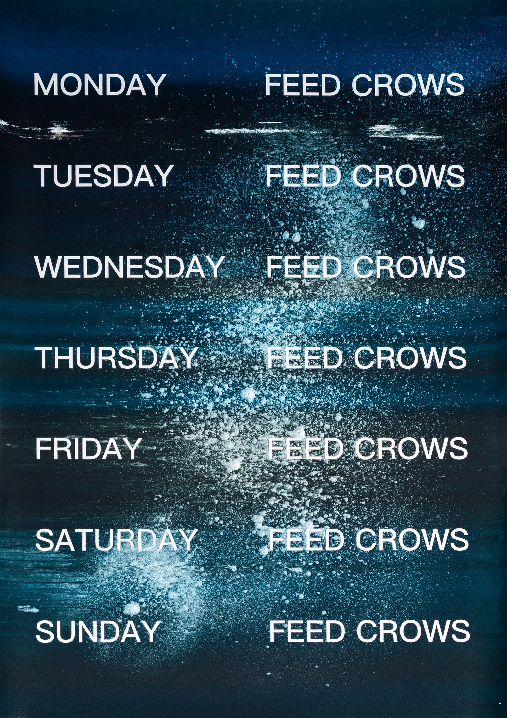 David Horvitz - Feed Crows (Print)