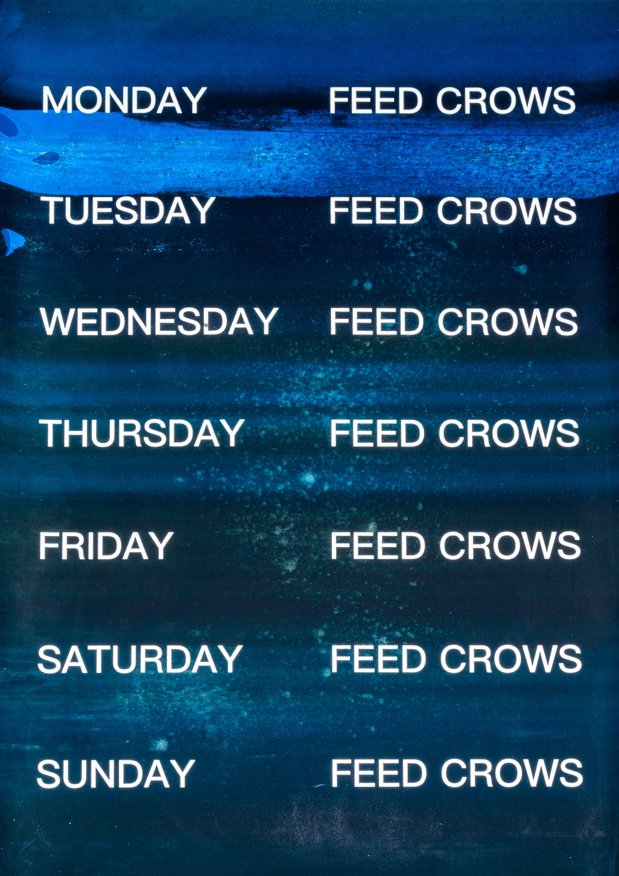 David Horvitz - Feed Crows (Print)