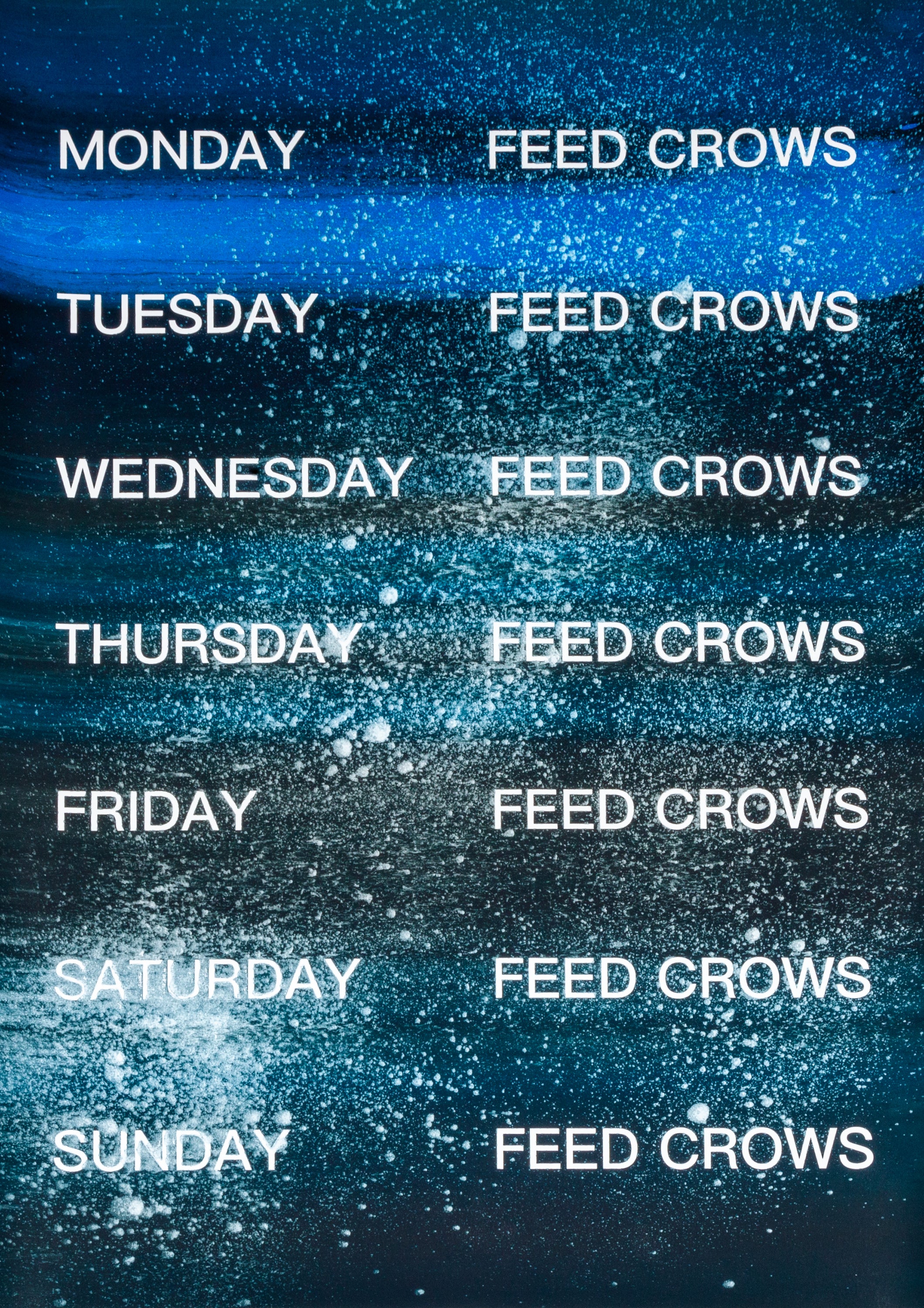 David Horvitz - Feed Crows (Print)