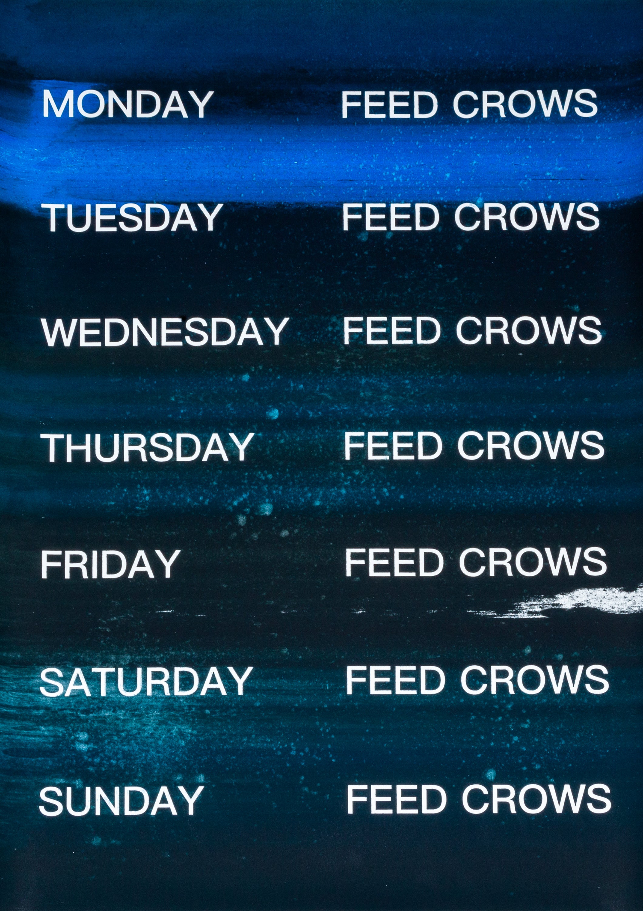 David Horvitz - Feed Crows (Print)