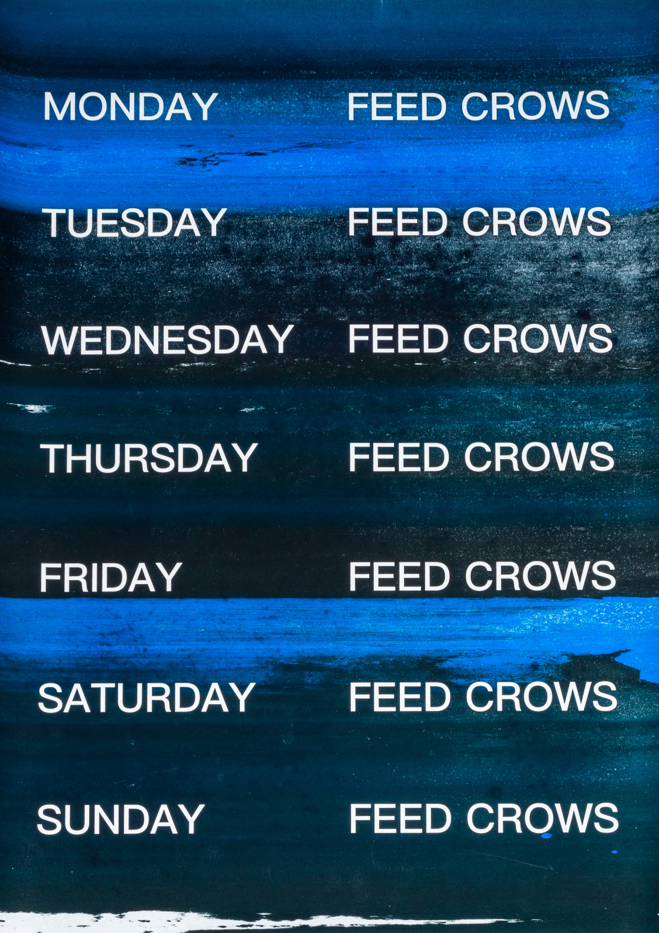 David Horvitz - Feed Crows (Print)