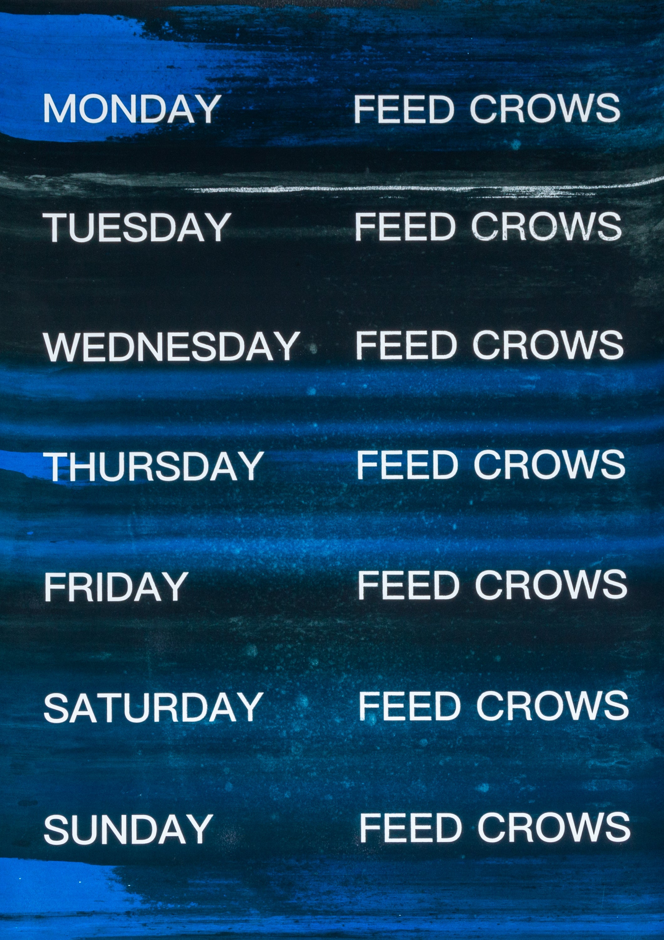 David Horvitz - Feed Crows (Print)