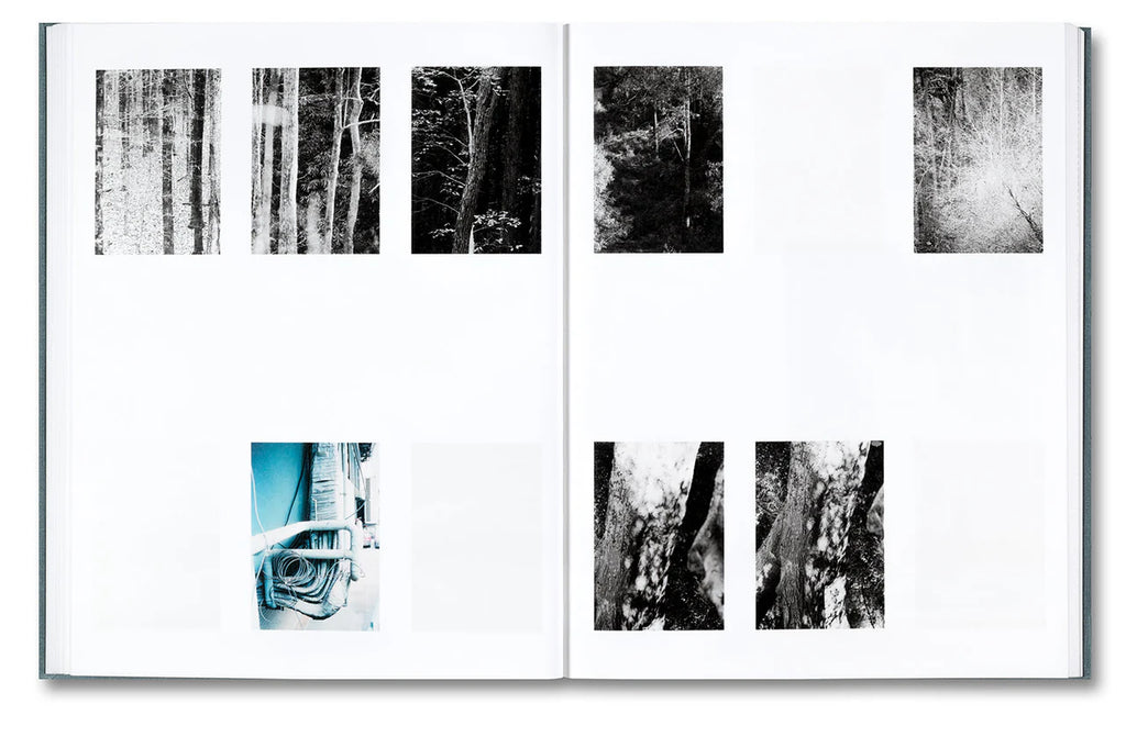 Daniel Shea - Distribution