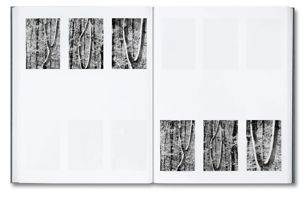 Daniel Shea - Distribution