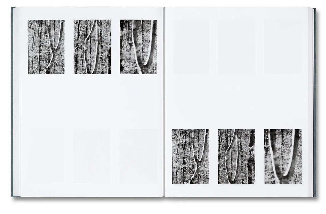 Daniel Shea - Distribution