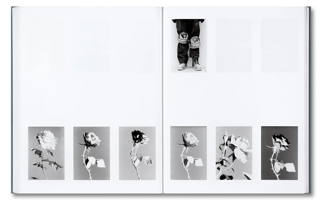 Daniel Shea - Distribution