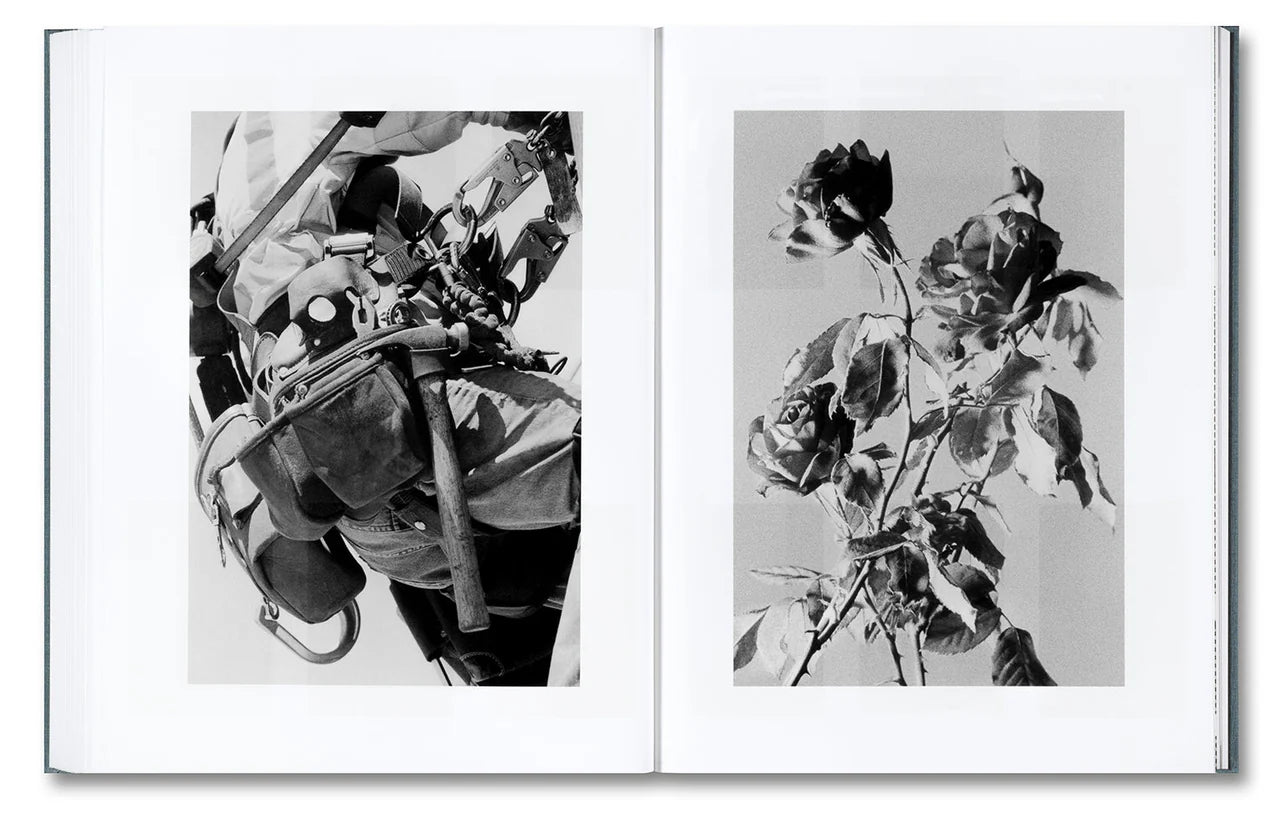 Daniel Shea - Distribution