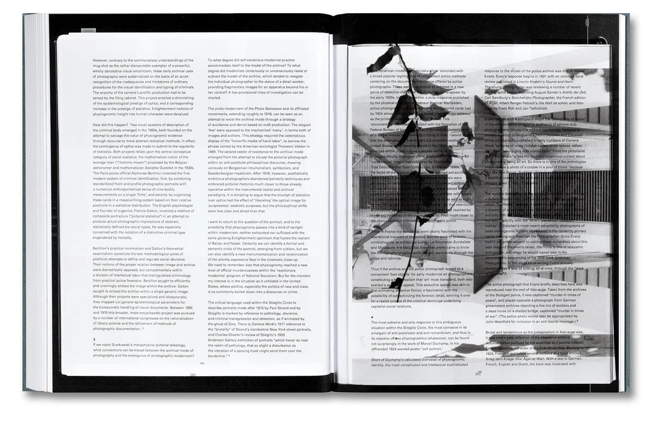 Daniel Shea - Distribution