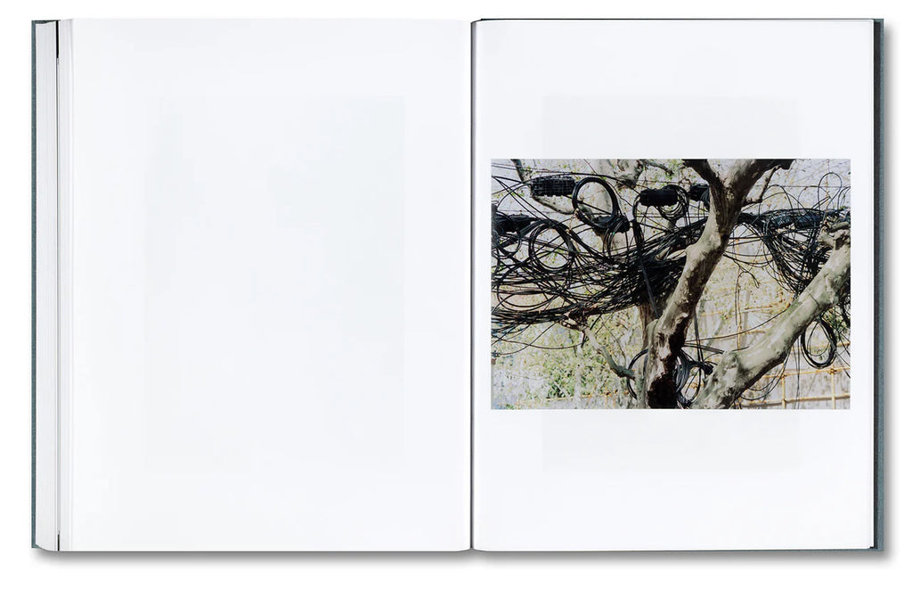 Daniel Shea - Distribution